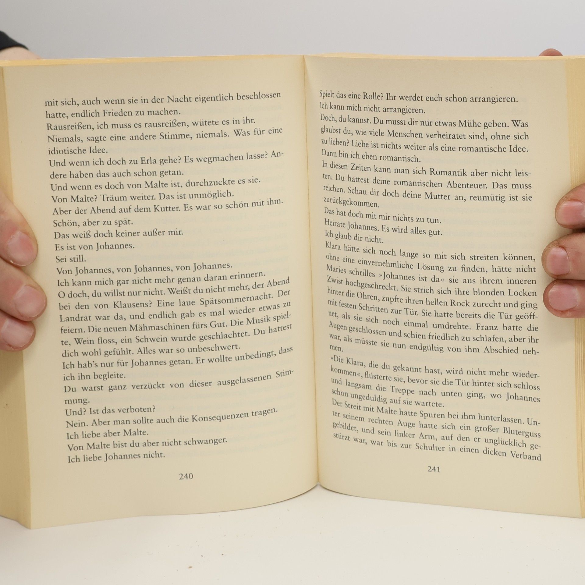 Judith Kern Das Leuchten des Sanddorns