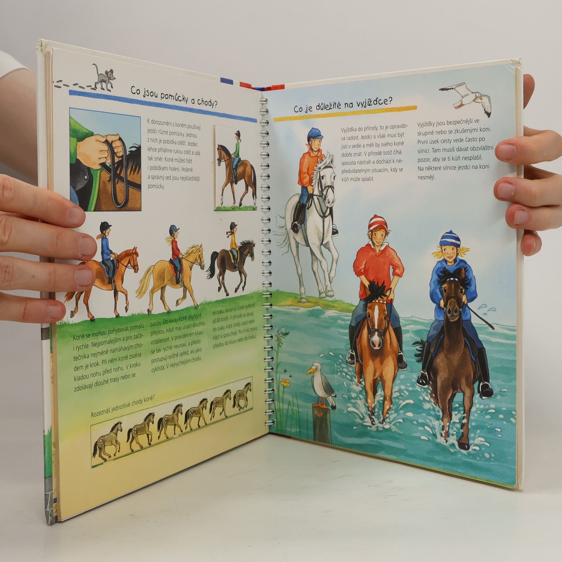 Autores varios Všechno o koních a ponících