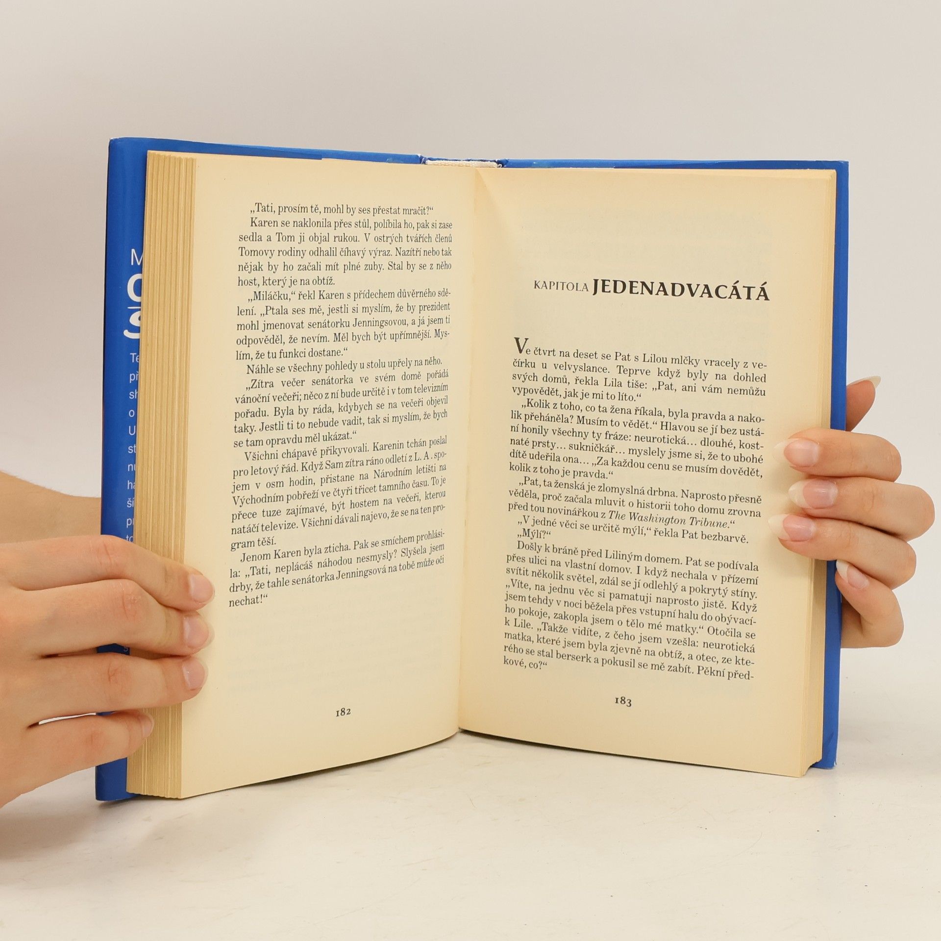 Mary Higgins Clark Stín v zádech