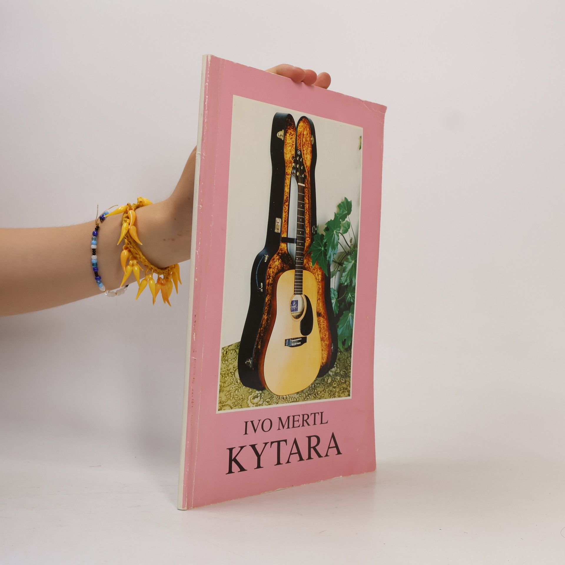 Ivo Mertl Kytara