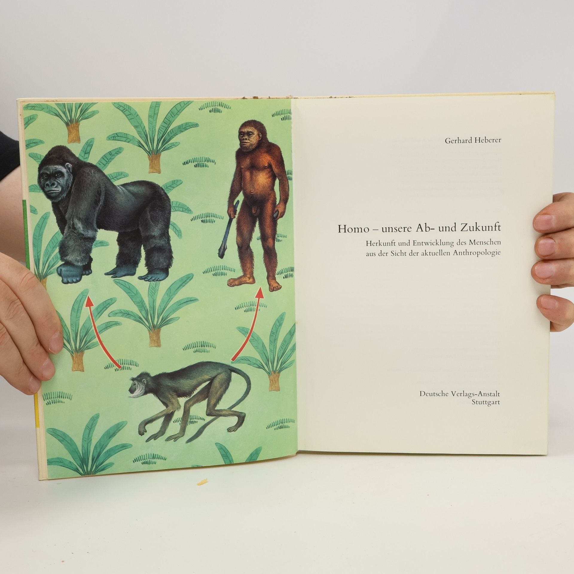 Gerhard Heberer Homo, unsere Ab- und Zukunft