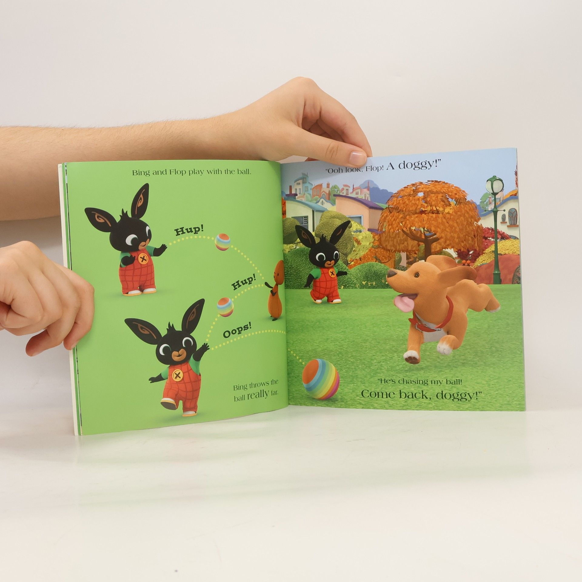 Ted Dewan Bing Bunny Favourite Stories Box Set