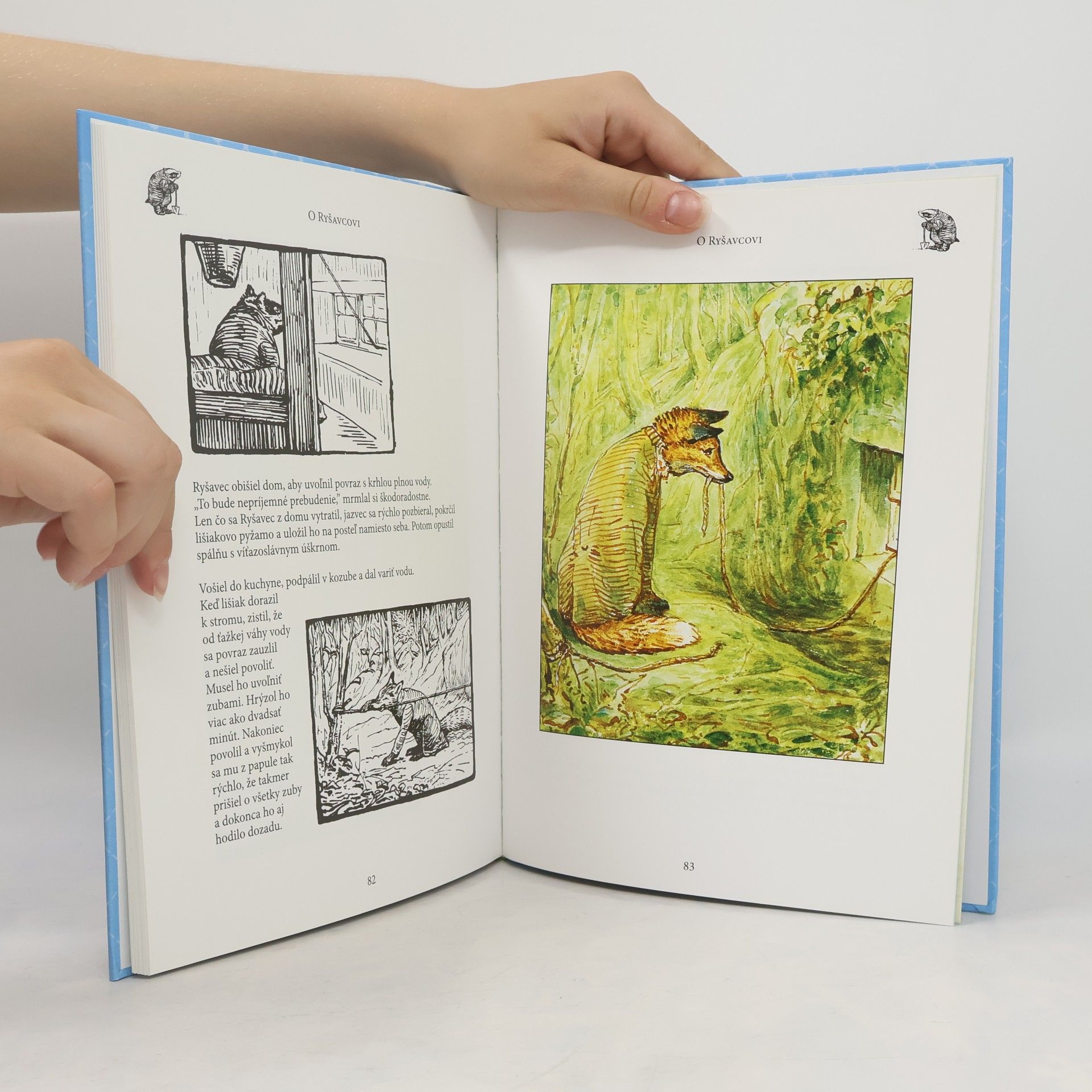 Beatrix Potter Dobrodružstvá zajačika Petríka