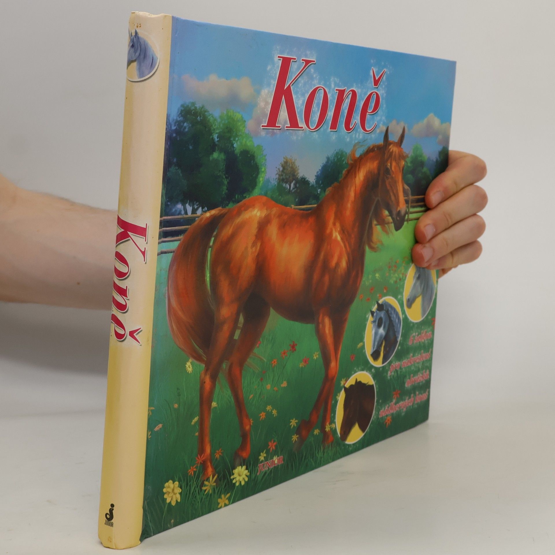 Fiona Sansom Koně