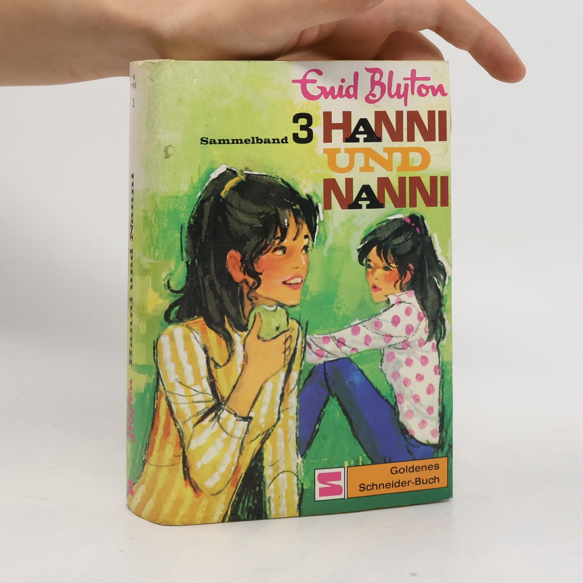 Enid Blyton Hanni und Nanni. Sammelband 3