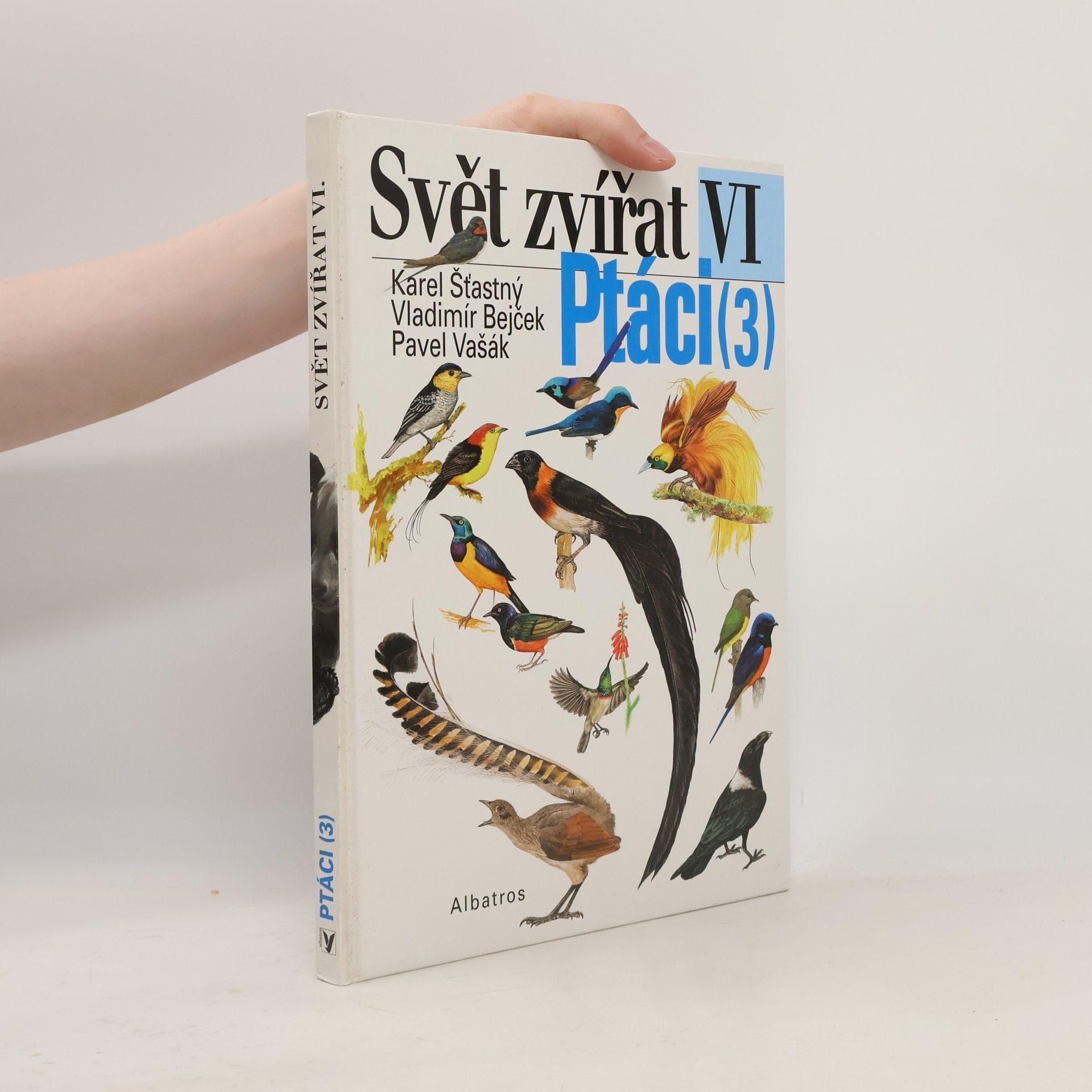 Svět zvířat : VI. Ptáci (3) Pěvci