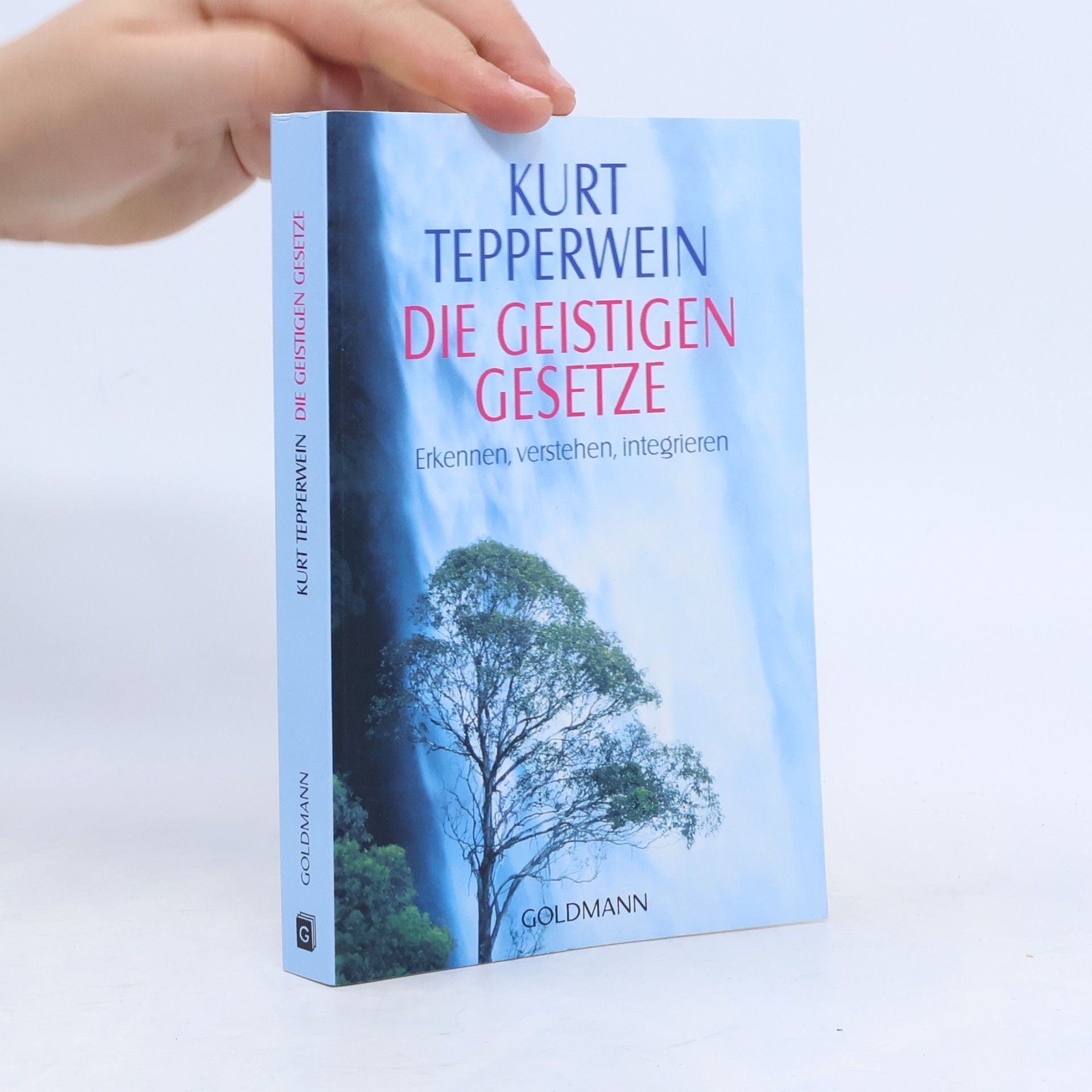 Kurt Tepperwein Die geistigen Gesetze