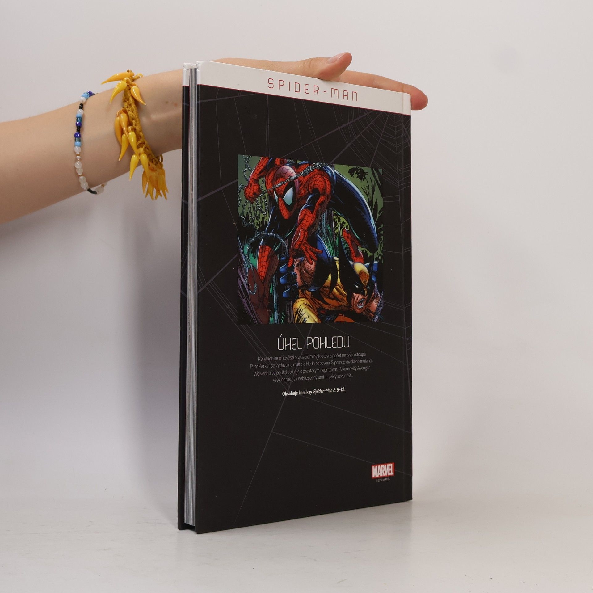 Todd McFarlane Spider-Man 1. Úhel pohledu