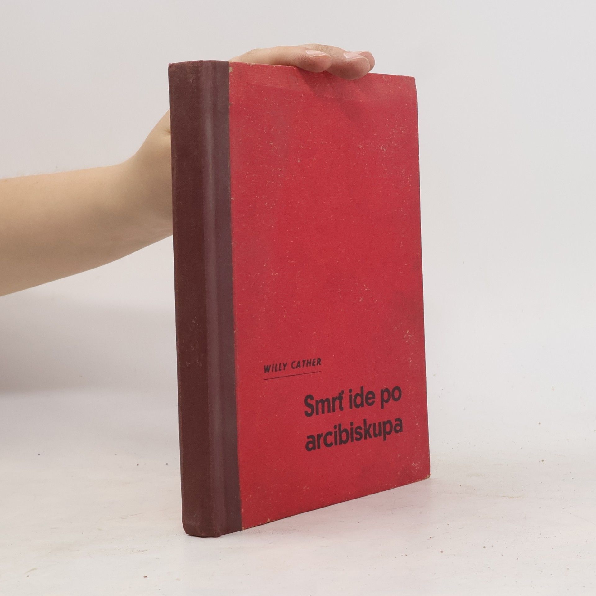 Willy Cather Smrt ide po arcibiskupa