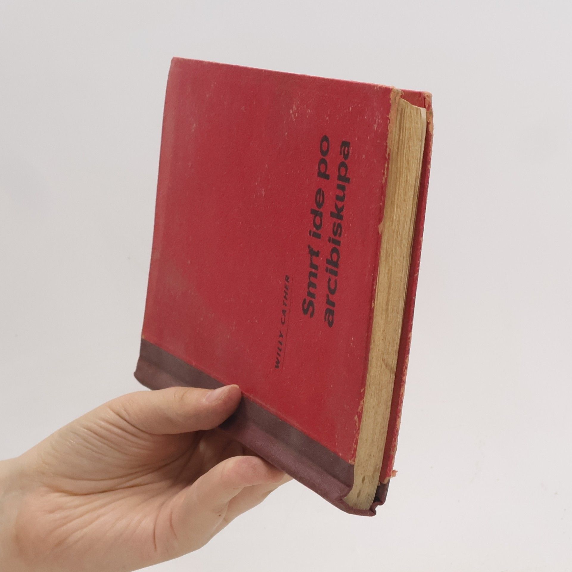 Willy Cather Smrt ide po arcibiskupa