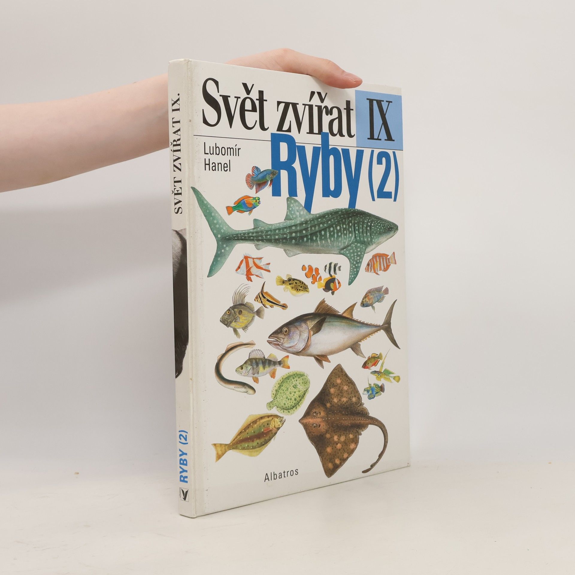 Ryby. 2. díl, kostnatí, paryby, sliznatky, mihule, kopinatci, sumky, salpy, vršenky