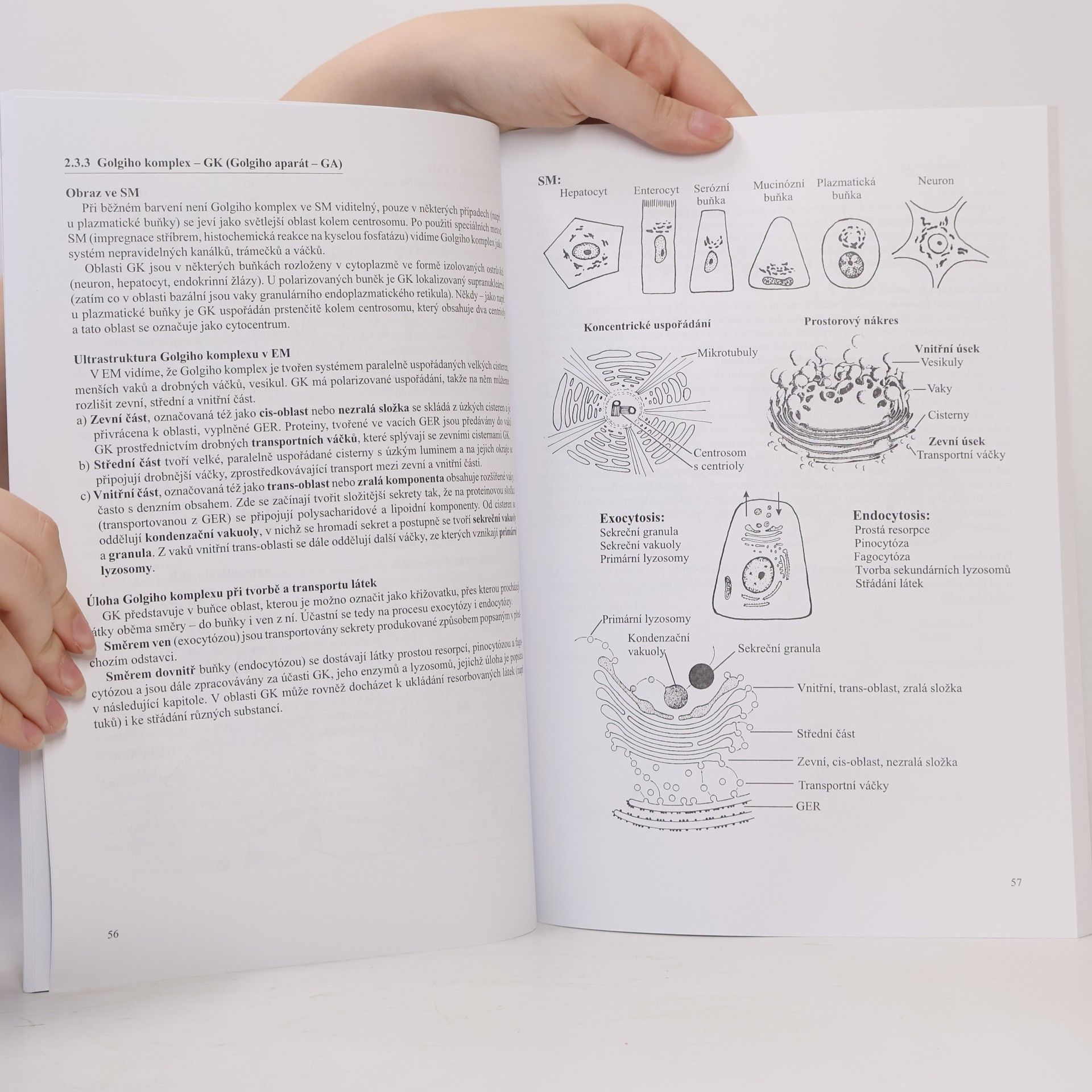 Jiří Malínský Přehled histologie člověka v obrazech. I. díl