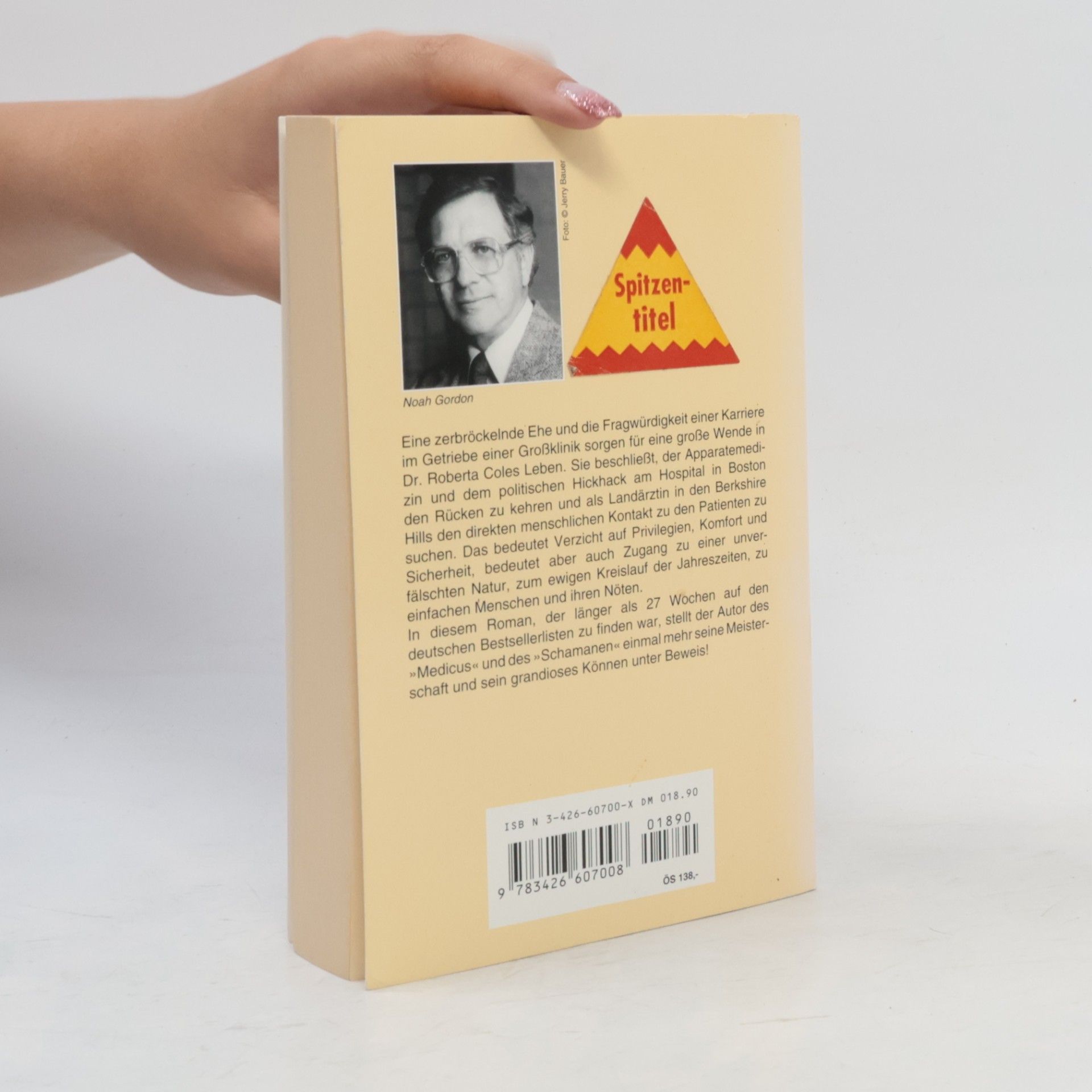 Noah Gordon Die Erben des Medicus