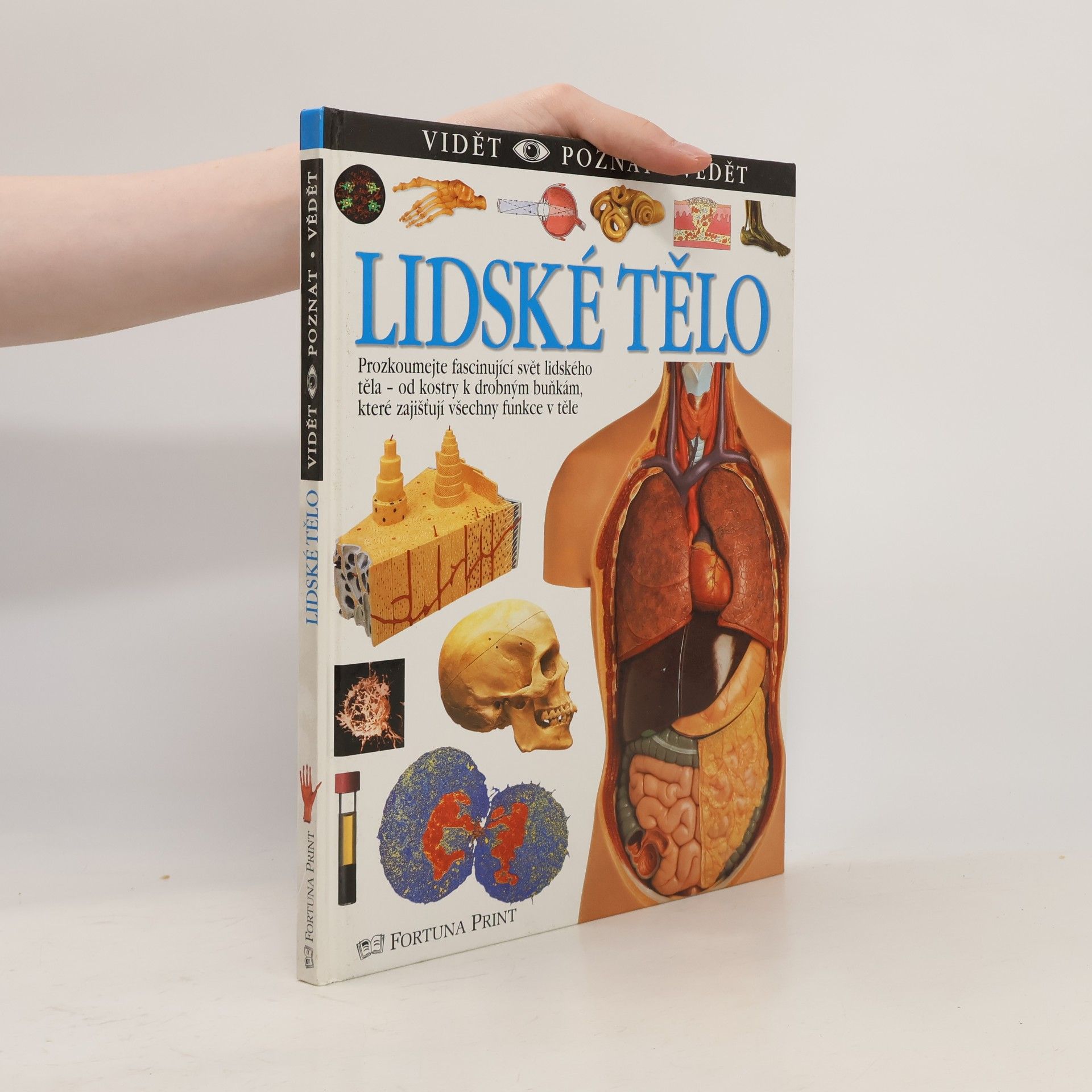 Steve Parker Lidské tělo