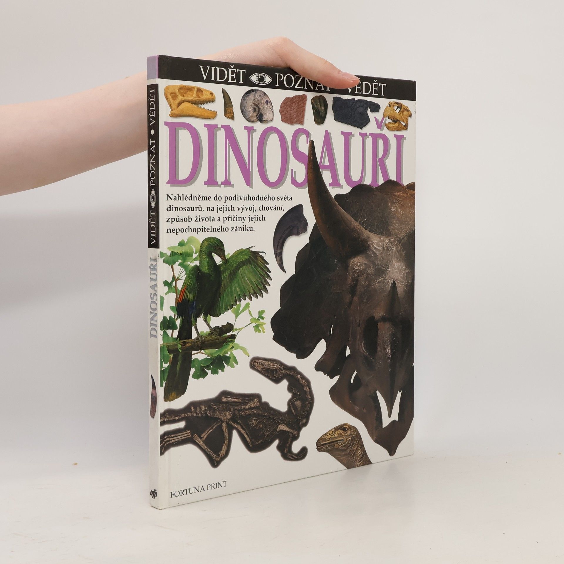 Angela Milner Vidět, poznat, vědět. Dinosauři