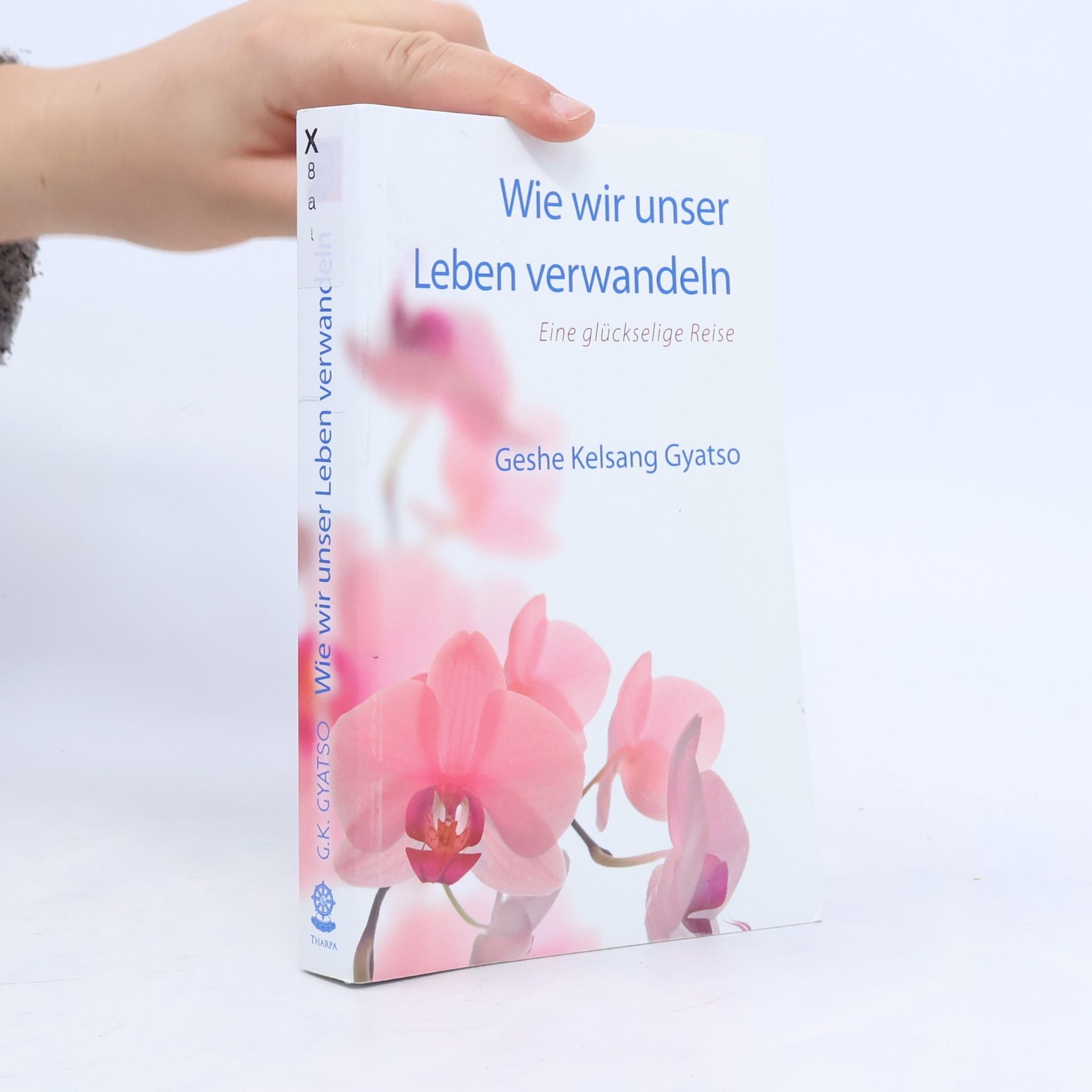 Kelsang Gyatso Wie wir unser Leben verwandeln
