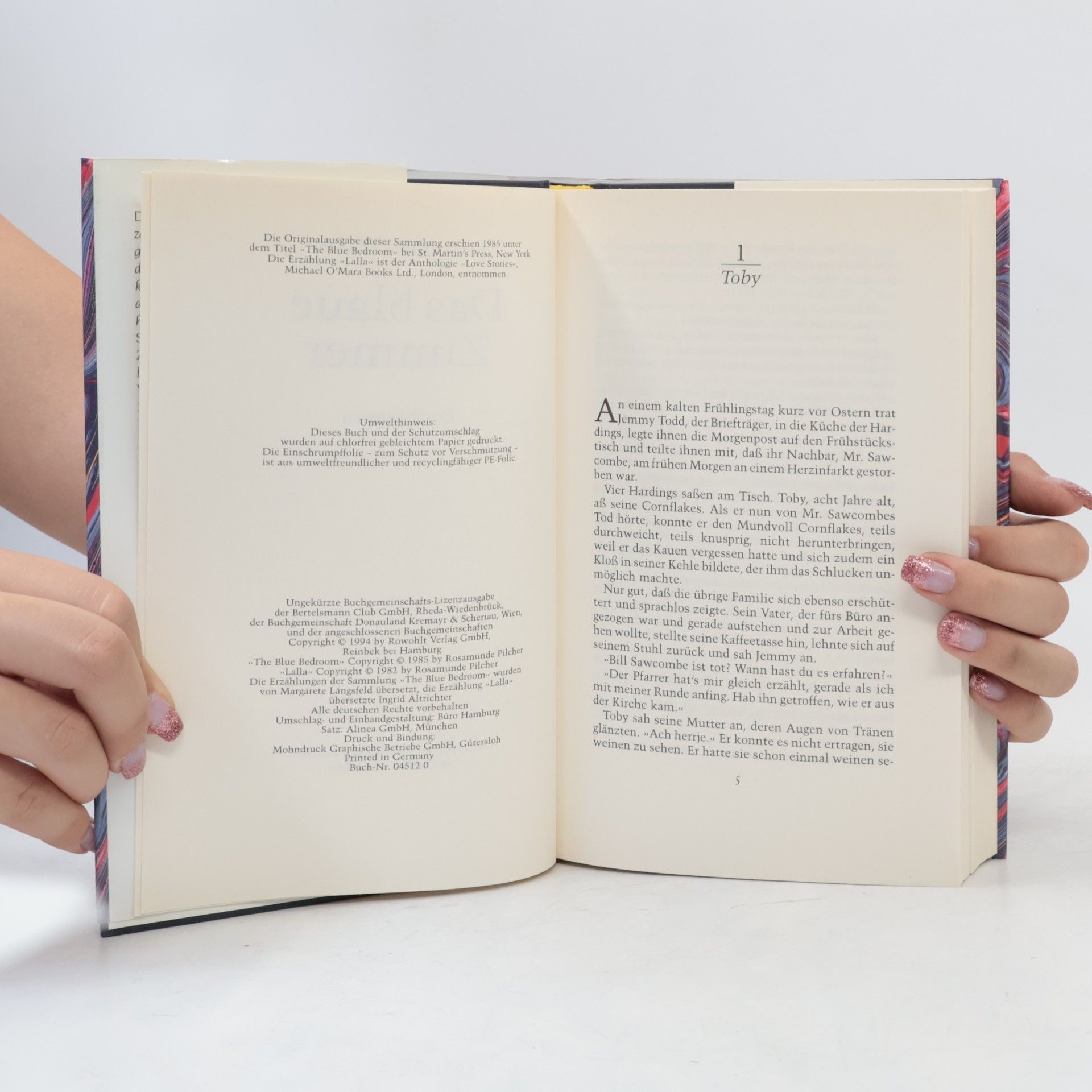 Rosamunde Pilcher Das blaue Zimmer