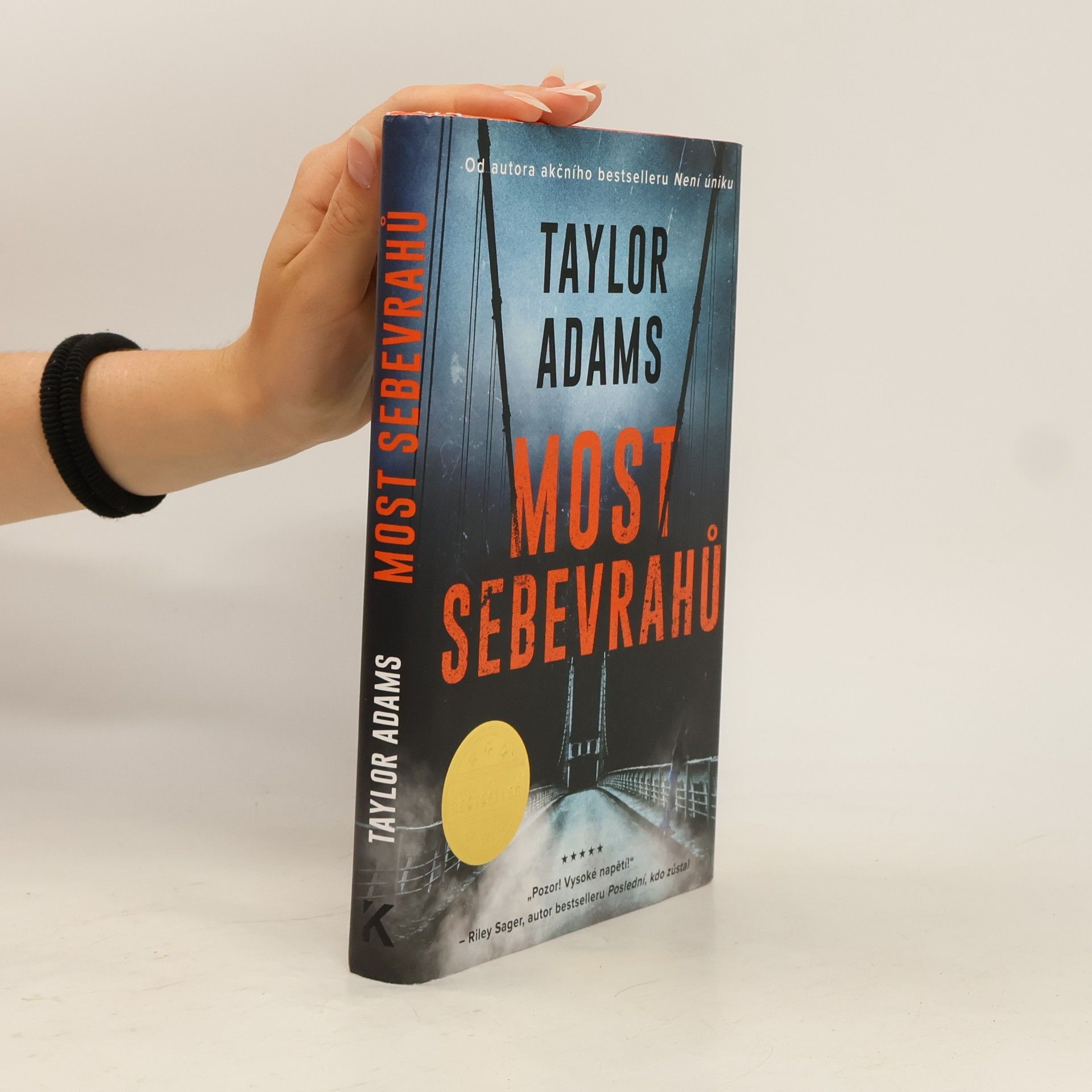 Taylor Adams Most sebevrahů