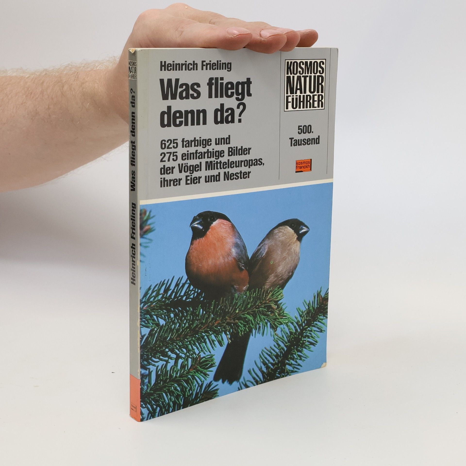 Heinrich Frieling Was fliegt denn da?