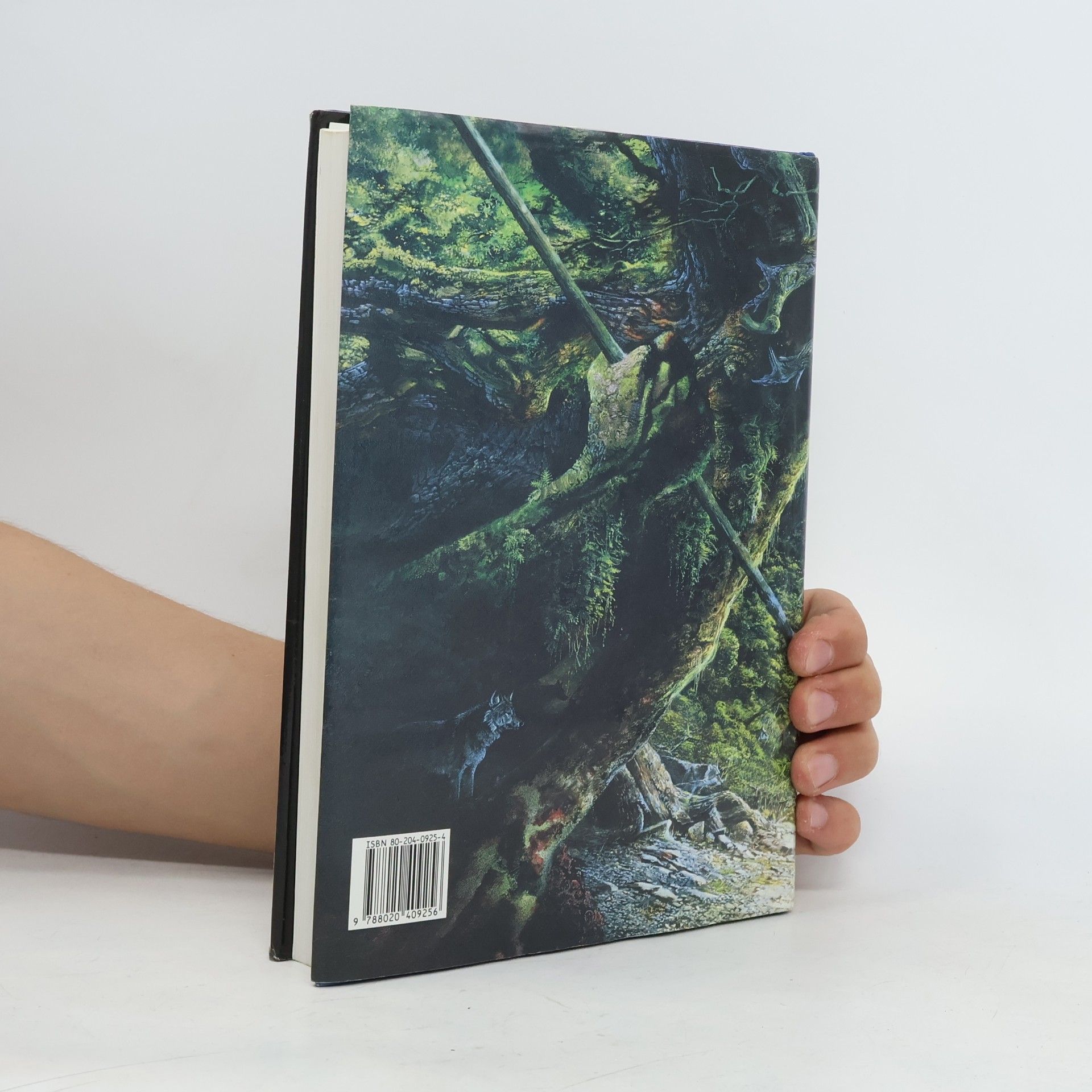 John Ronald Reuel Tolkien Pán prstenů. Společenstvo Prstenu