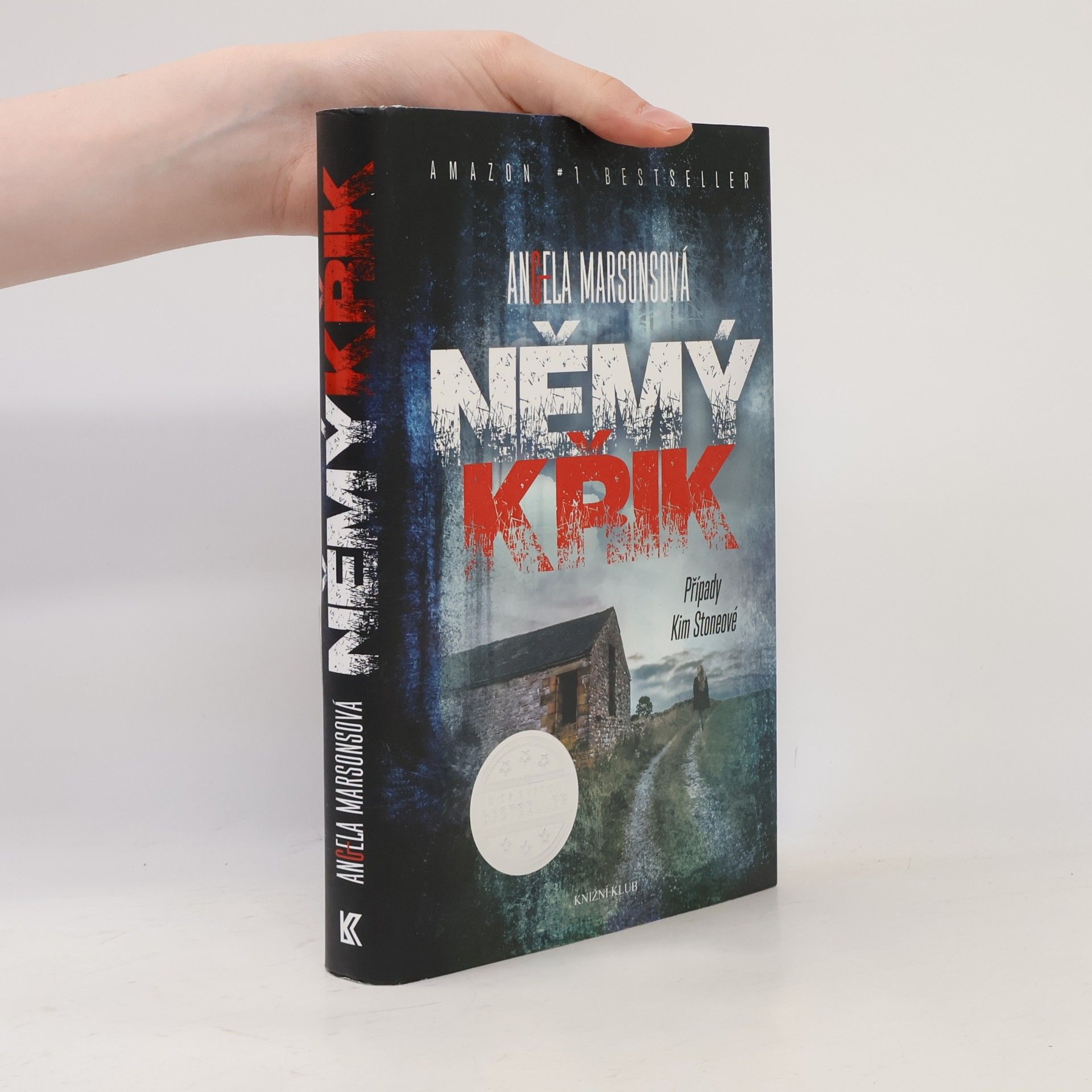 Angela Marsons Němý křik