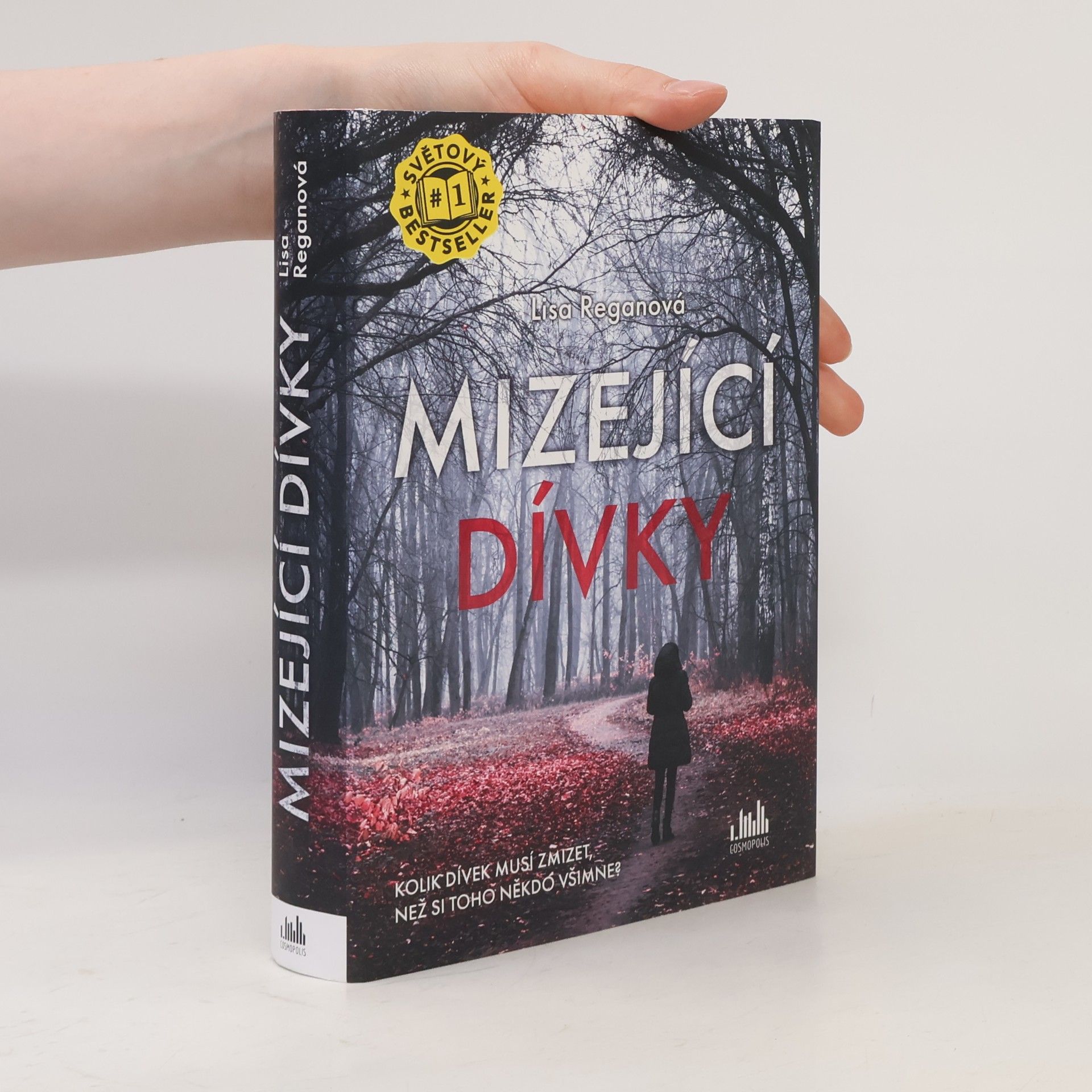 Lisa Regan Mizející dívky