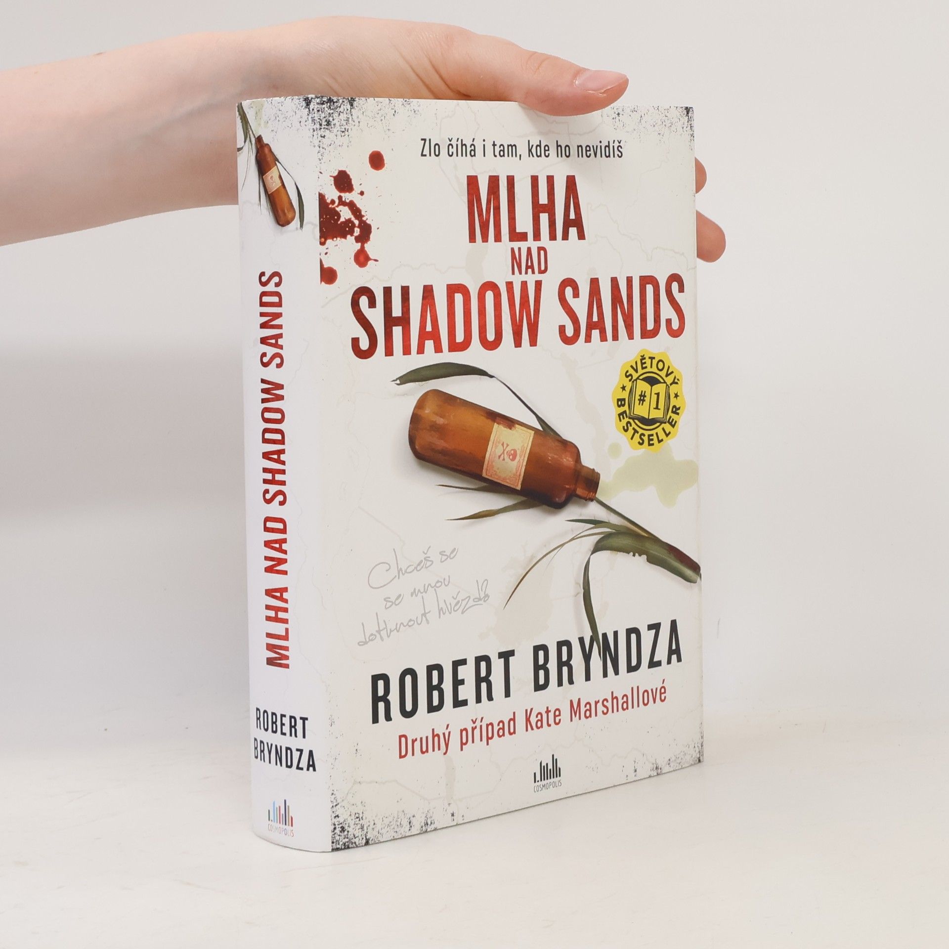 Robert Bryndza Mlha nad Shadow Sands