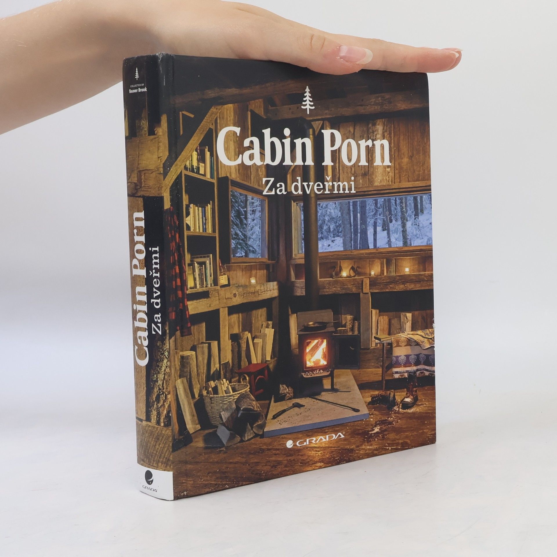 Matt Cassity Cabin porn : za dveřmi