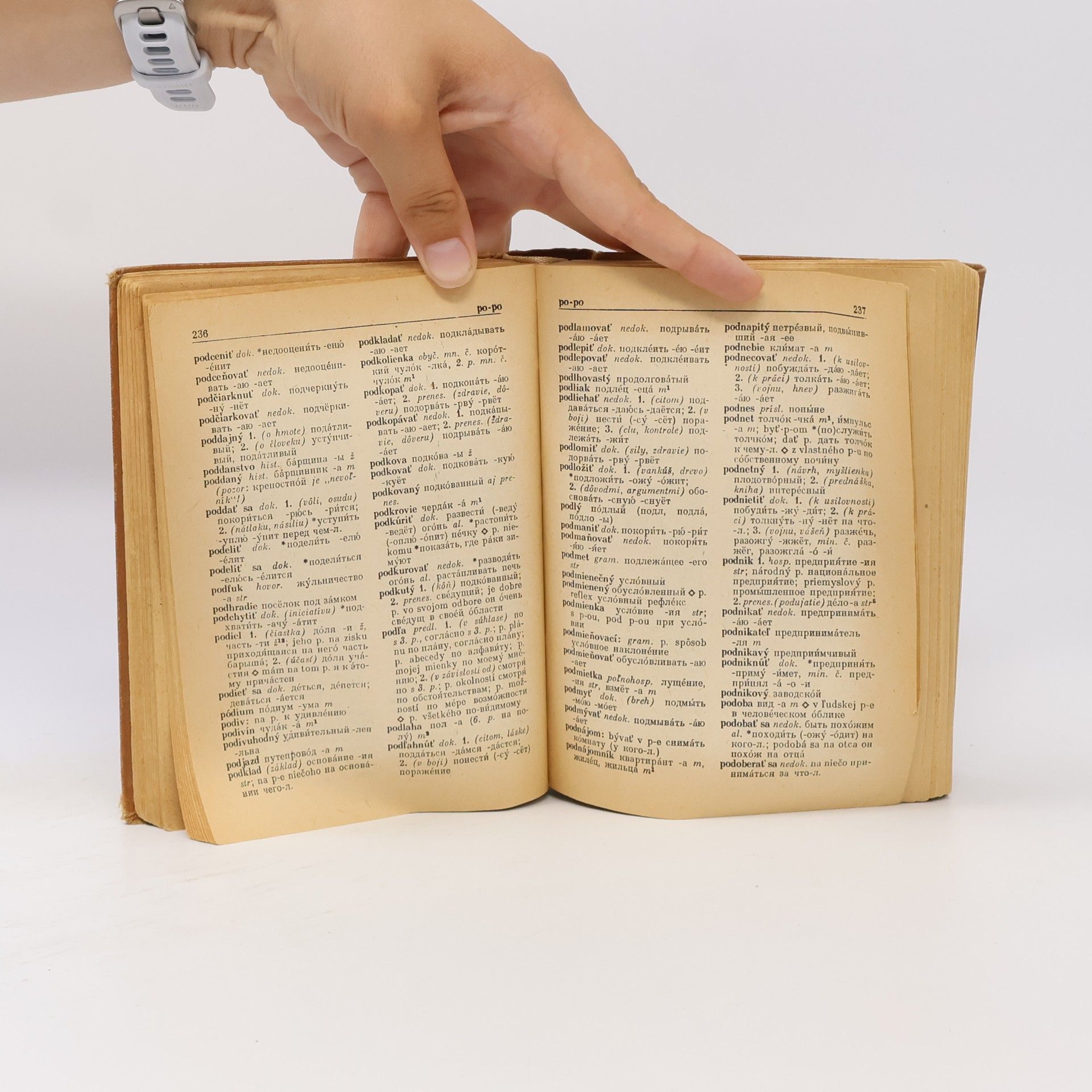 Autores varios Slovensko-ruský slovník