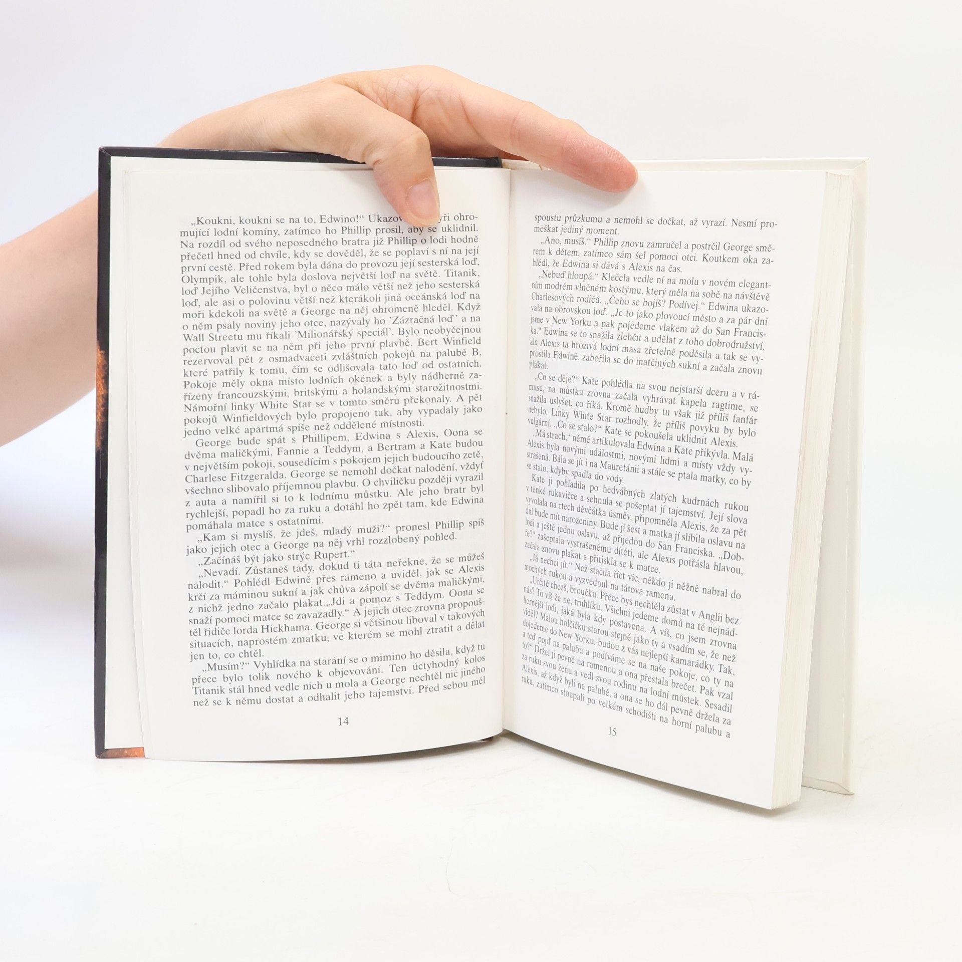 Danielle Steel Nevýslovná láska