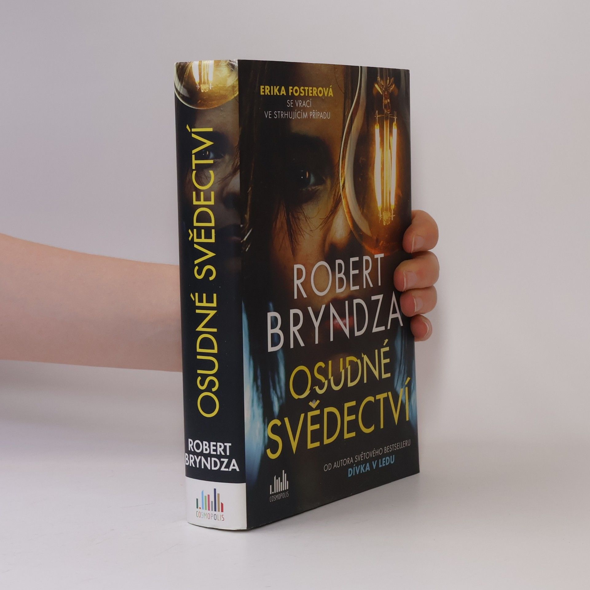 Robert Bryndza Osudné svědectví
