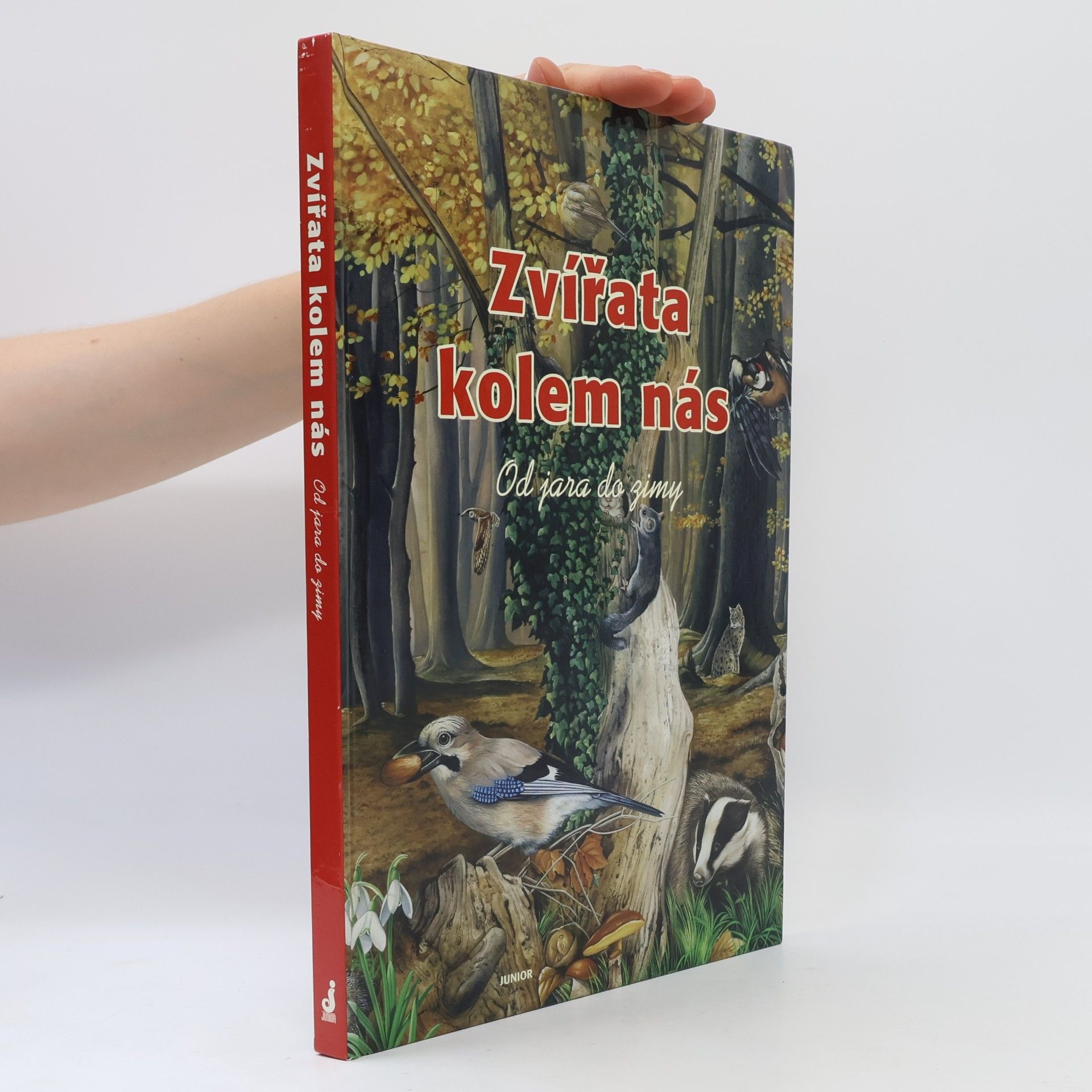 Maria Di Lorenzo Zvířata kolem nás: Od jara do zimy