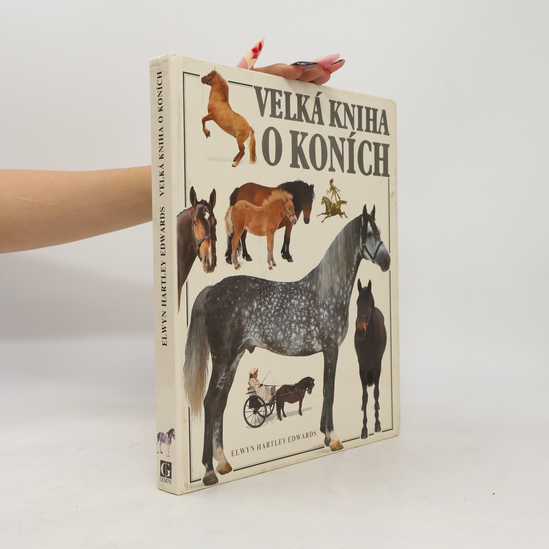 Elwyn Hartley Edwards Velká kniha o koních