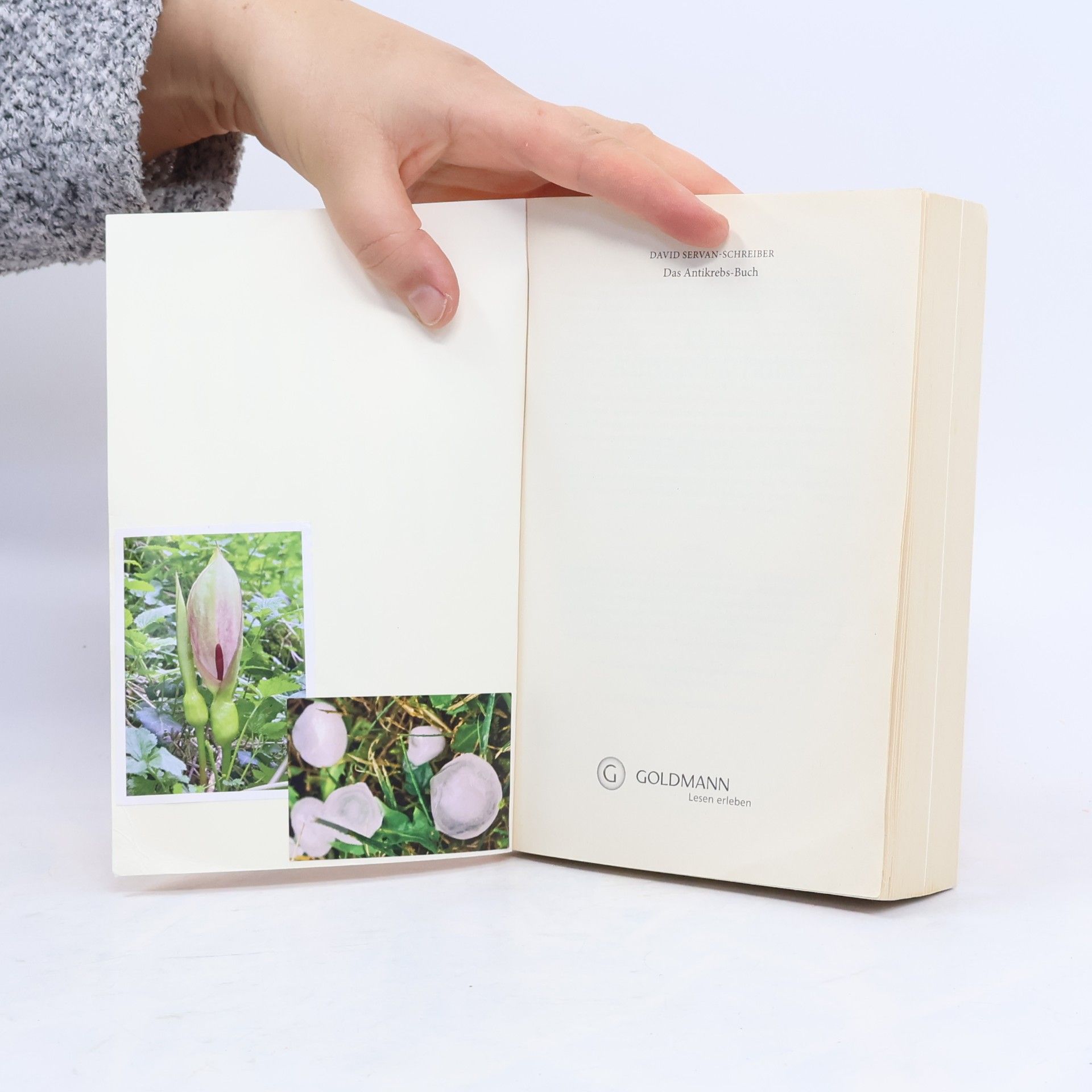 David Servan Schreiber Das Antikrebs-Buch