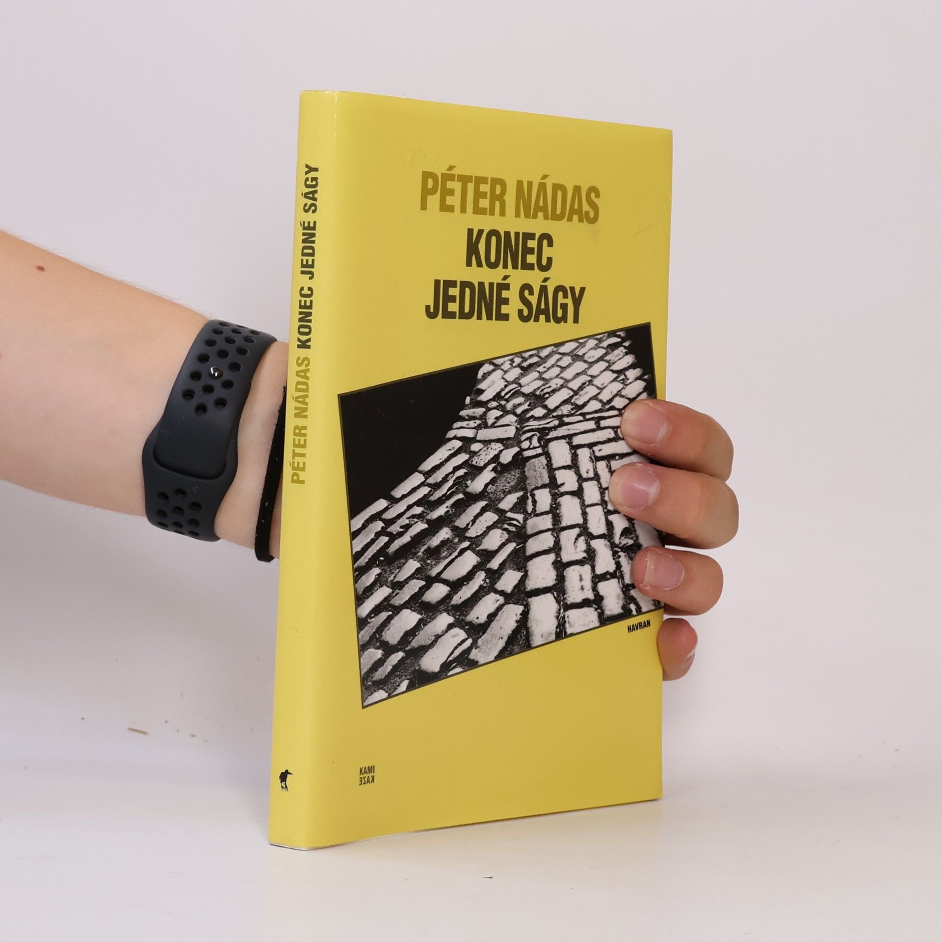 Péter Nádas Konec jedné ságy