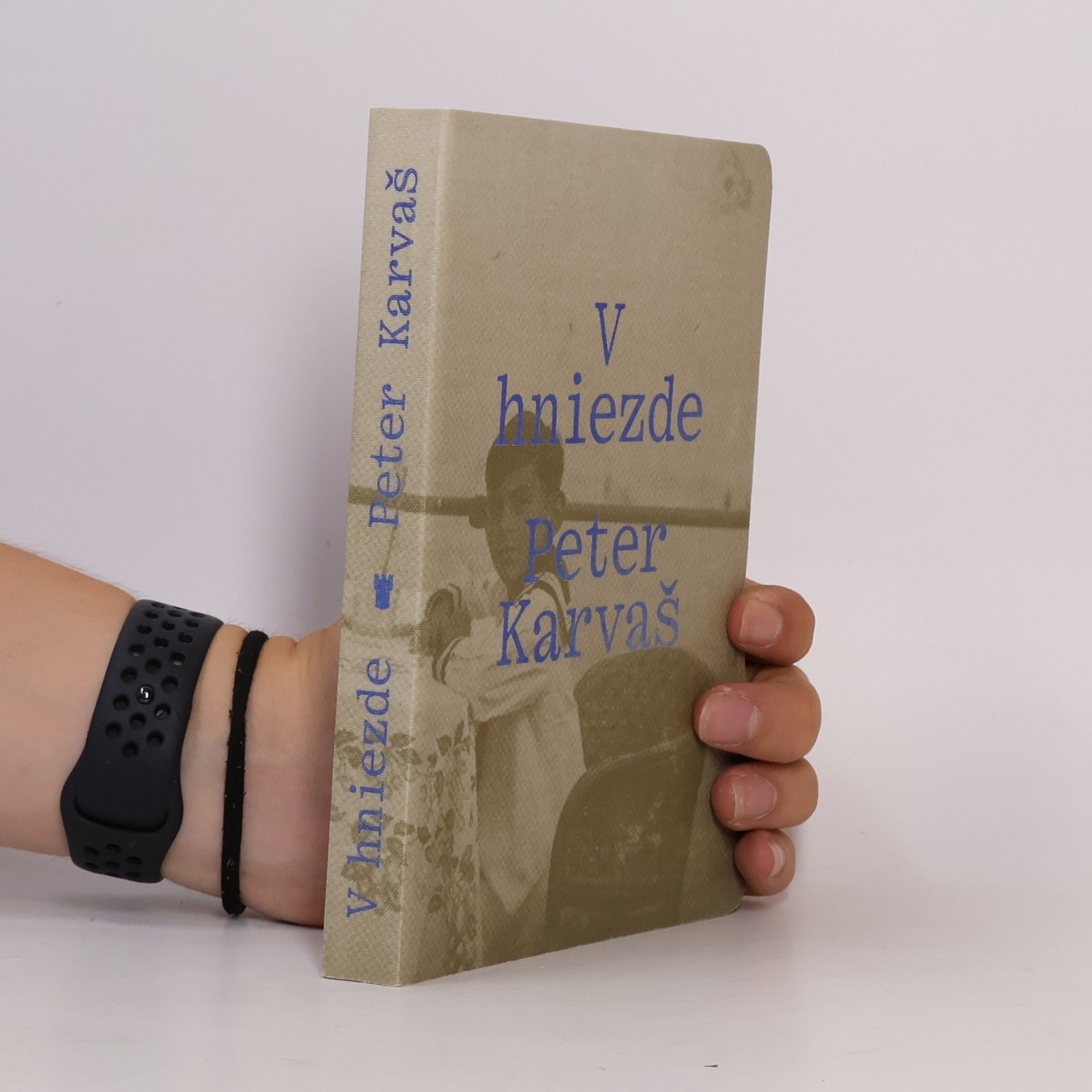Peter Karvaš V hniezde