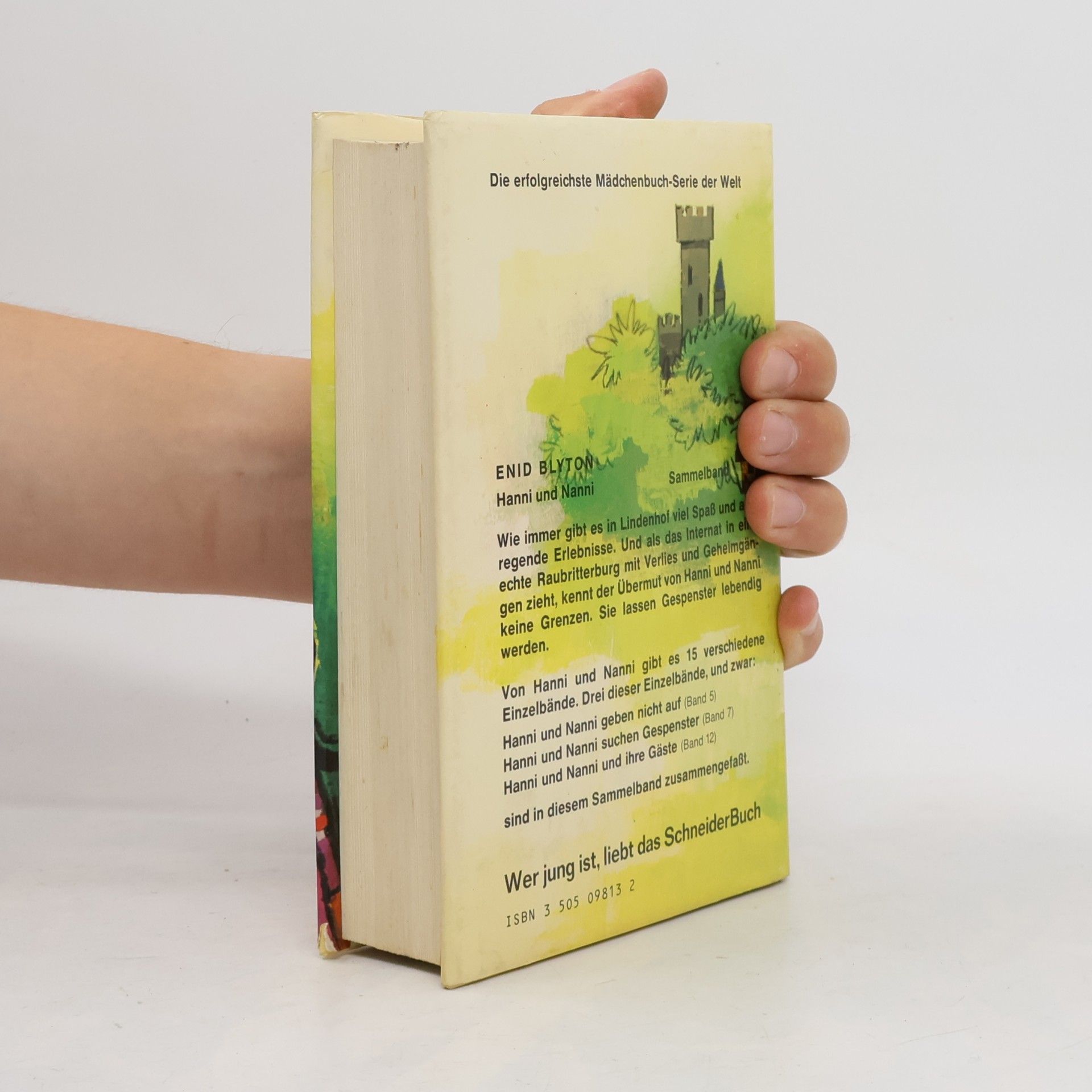 Enid Blyton Hanni und Nanni. Sammelband 4