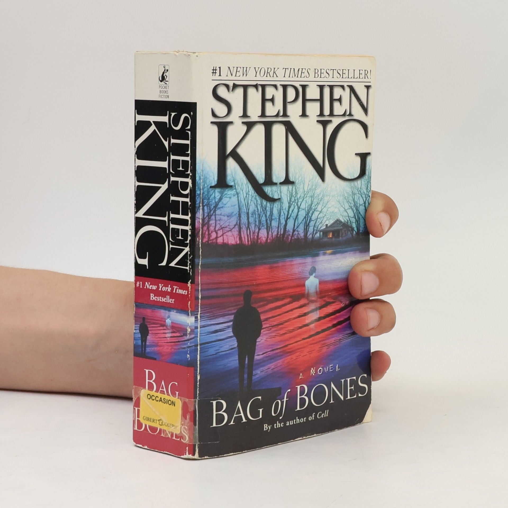 Stephen King Bag of Bones