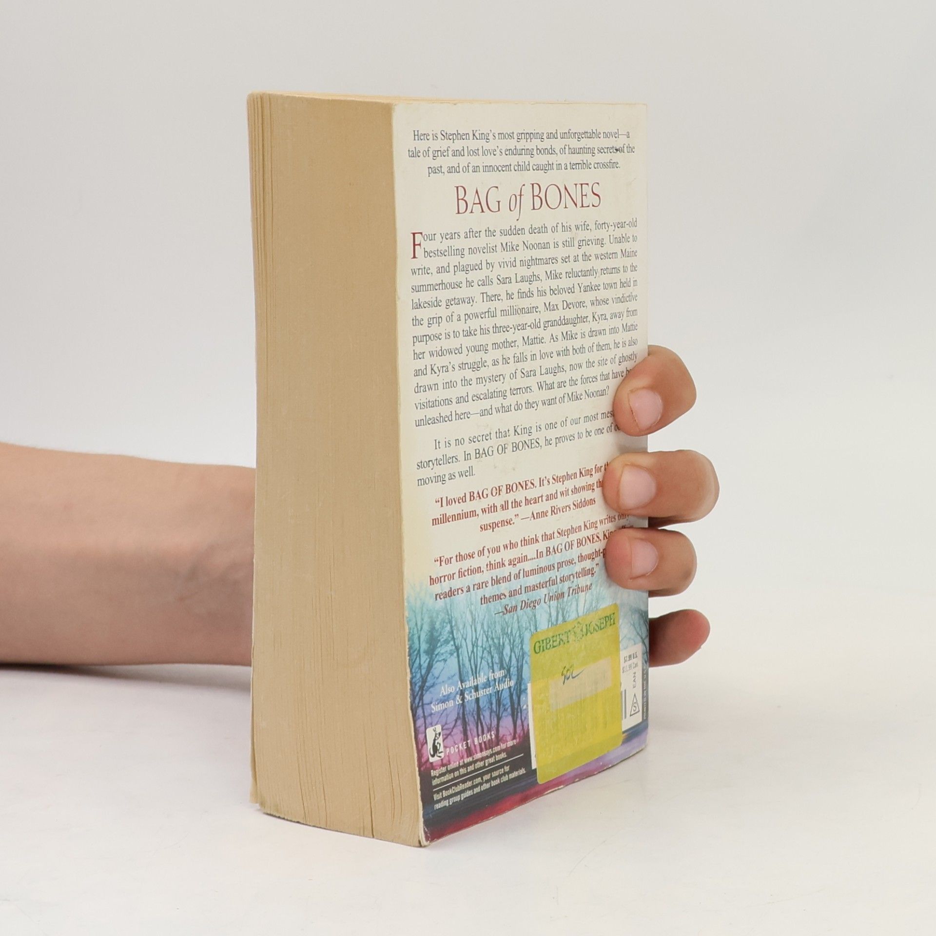 Stephen King Bag of Bones