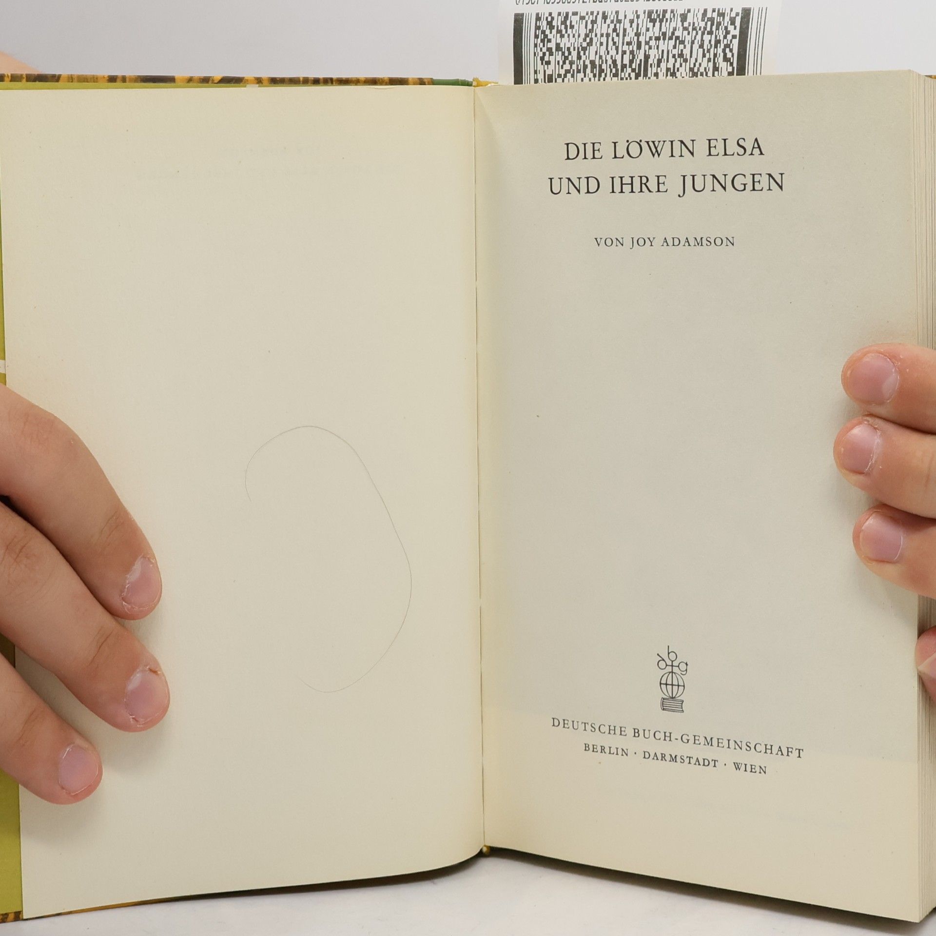 Joy Adamson Die Löwin Elsa und ihre Jungen