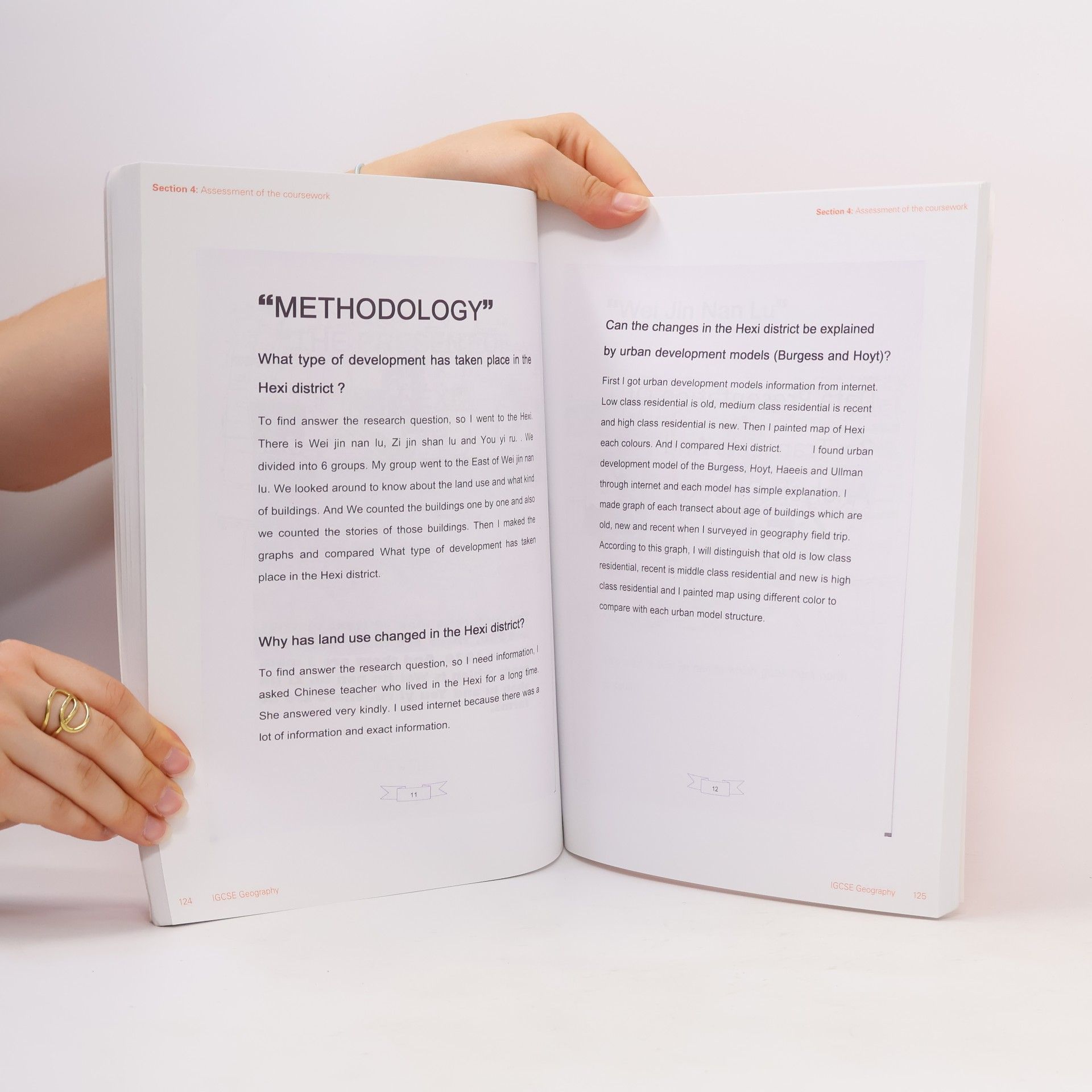 Kolektiv autorů Coursework Training Handbook