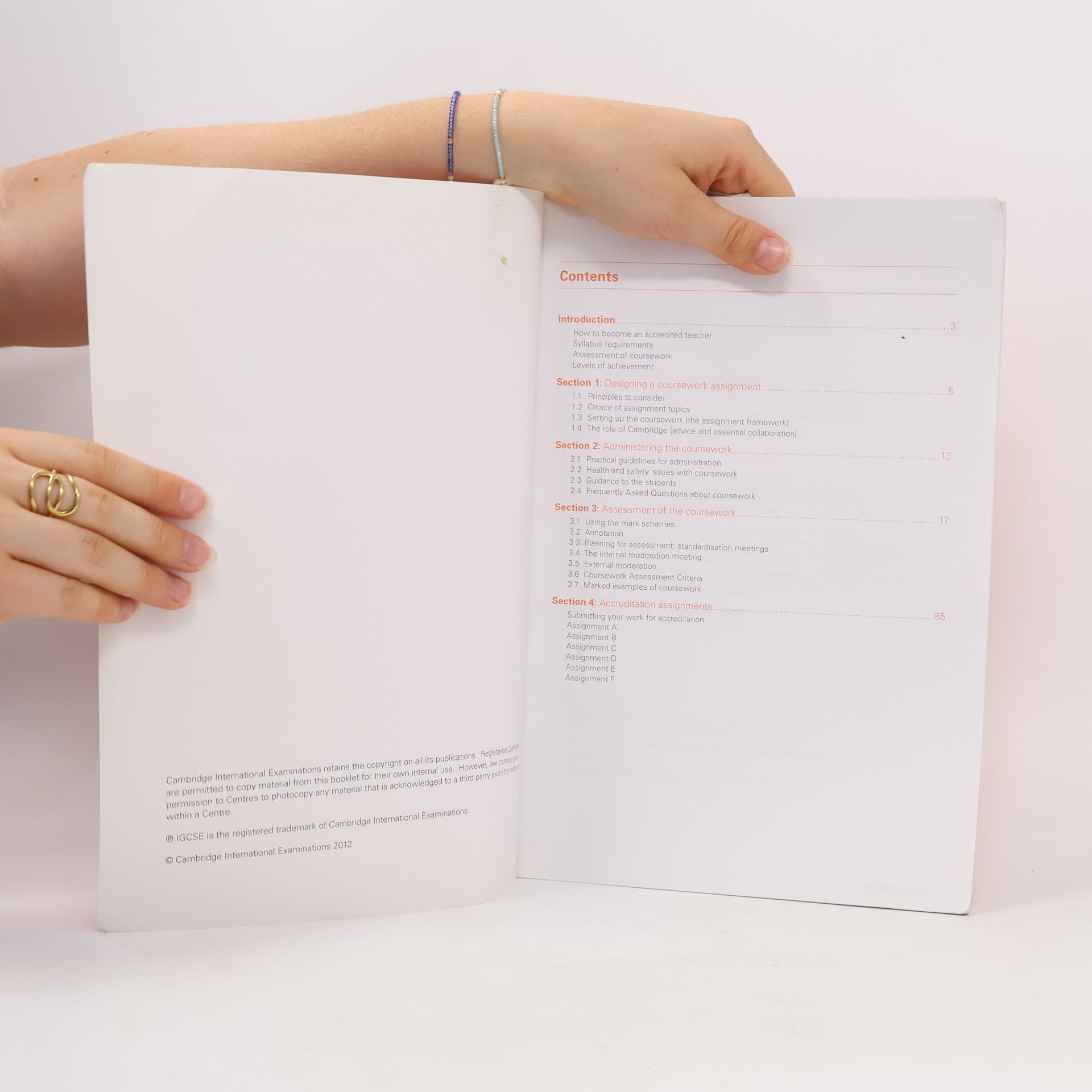 Kolektiv autorů Coursework Training Handbook