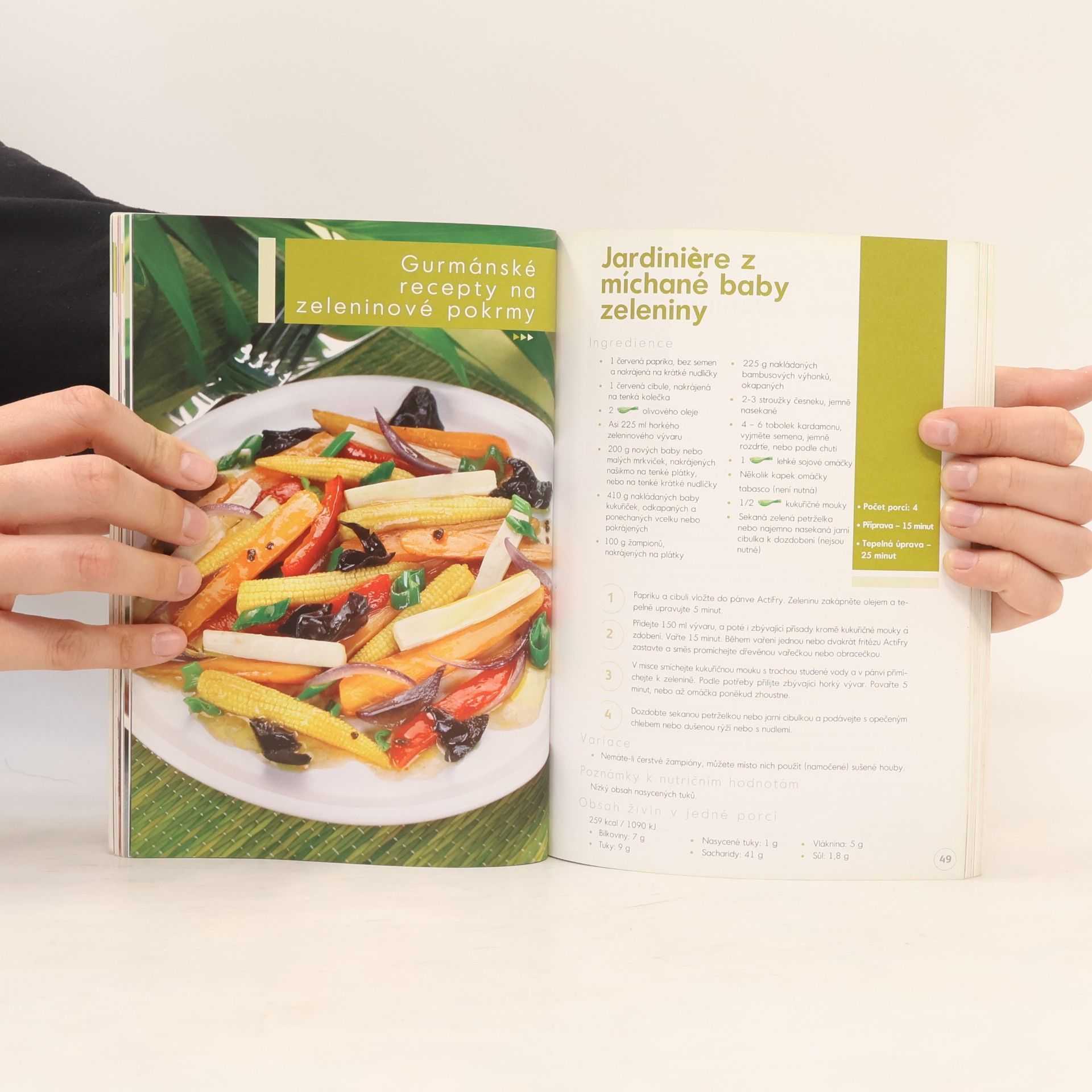 Autorenkollektiv Tefal ActiFry. 20 recipes