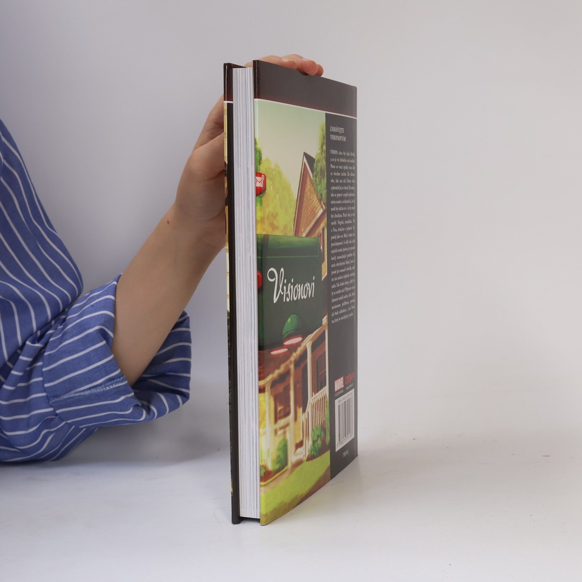 Tom King Vision : o trochu horší než člověk, o trochu lepší než zvíře