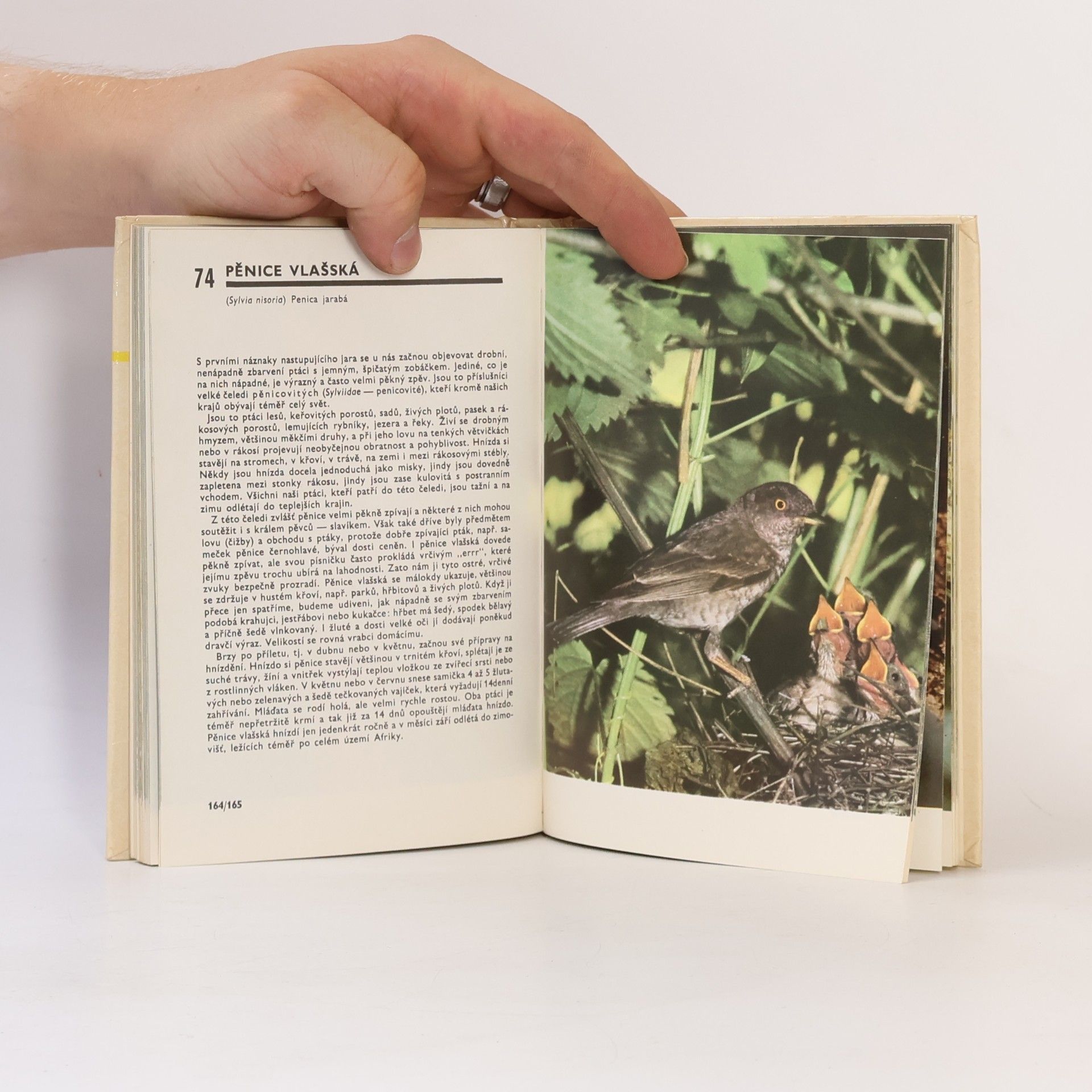 Miroslav Bouchner Kapesní atlas ptáků