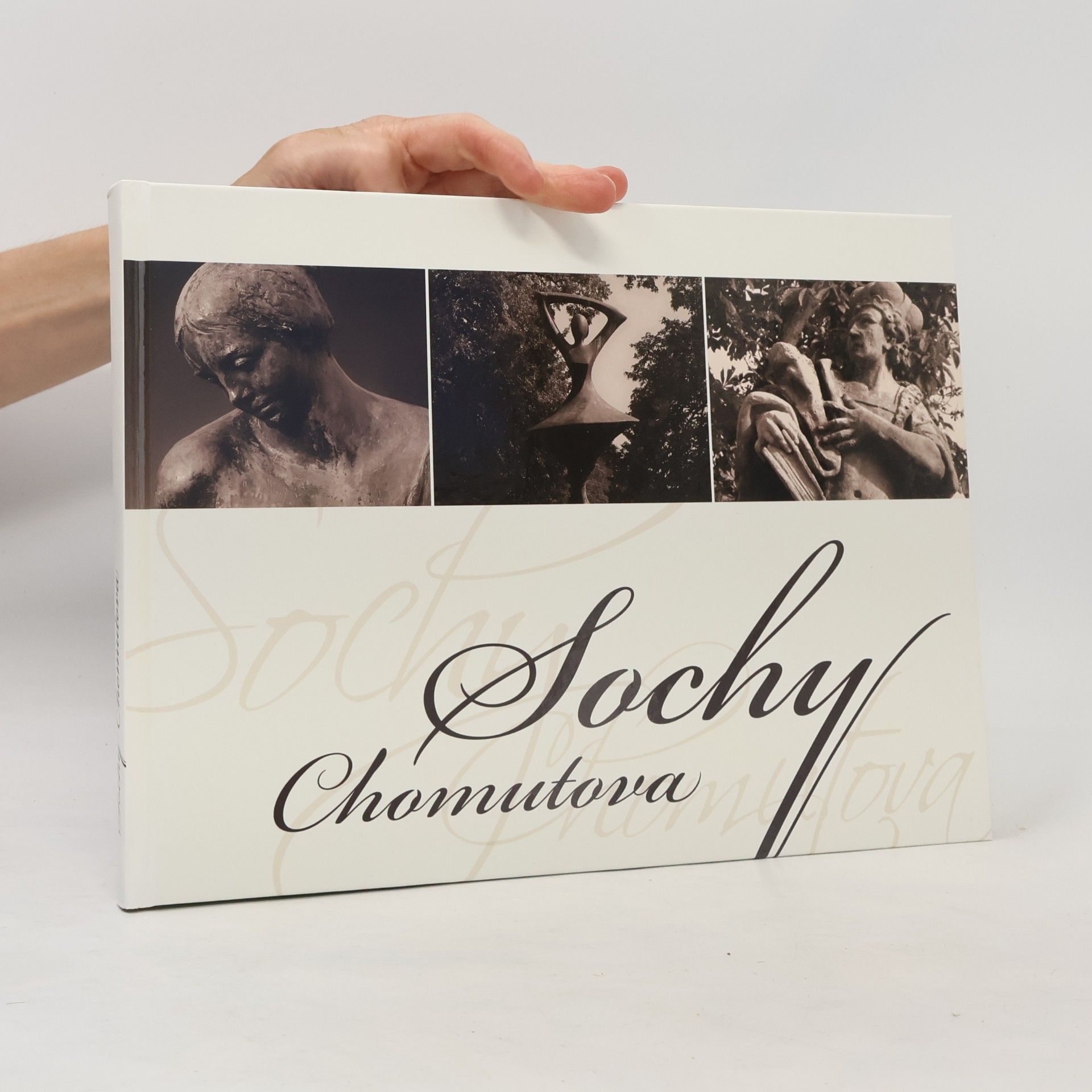 Jaroslav Pachner Sochy Chomutova