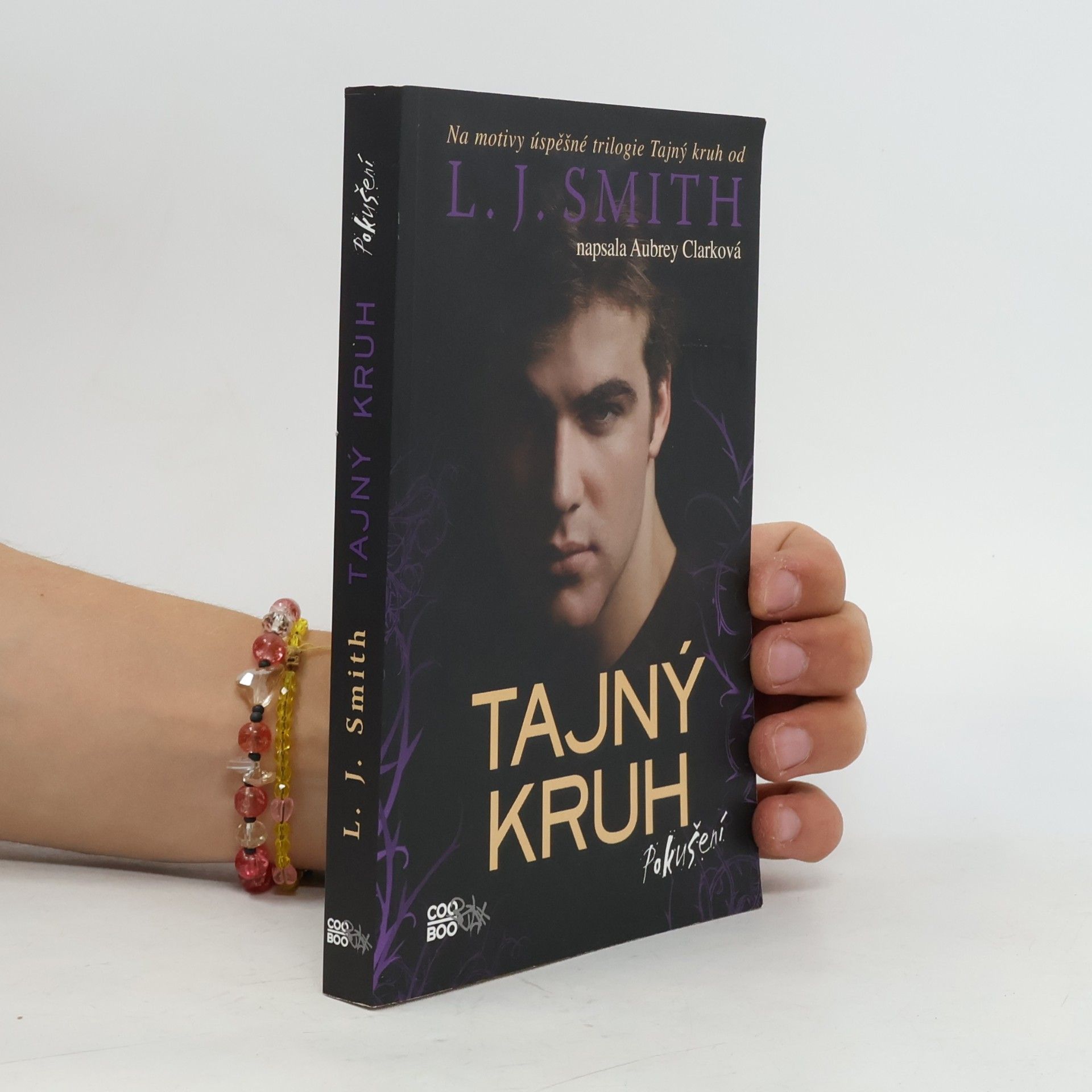L. J. Smith Tajný kruh. Pokušení