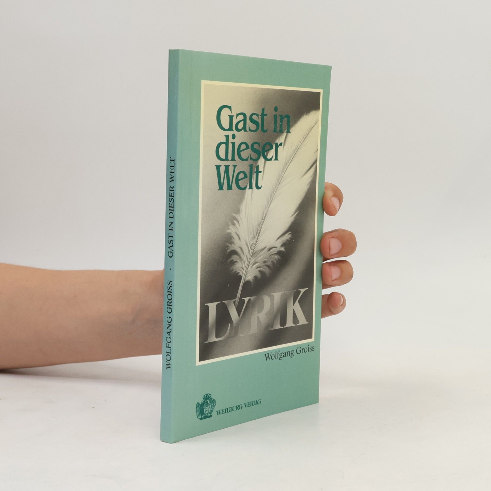 Wolfgang Groiss Gast in dieser Welt