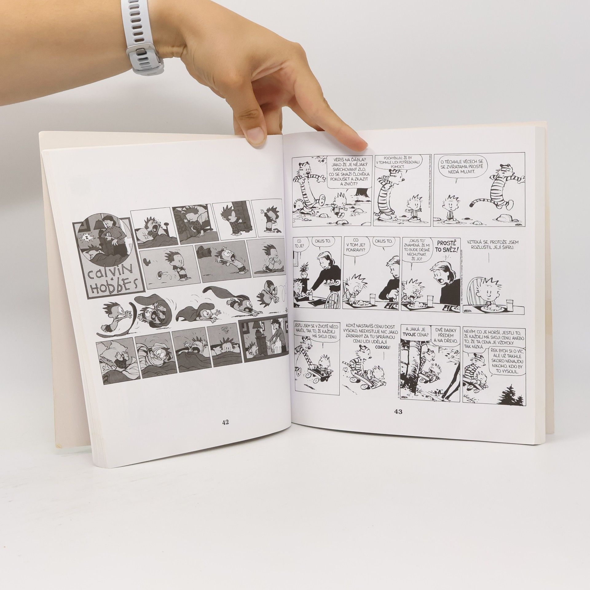 Bill Watterson Jeden neví, kam dřív skočit
