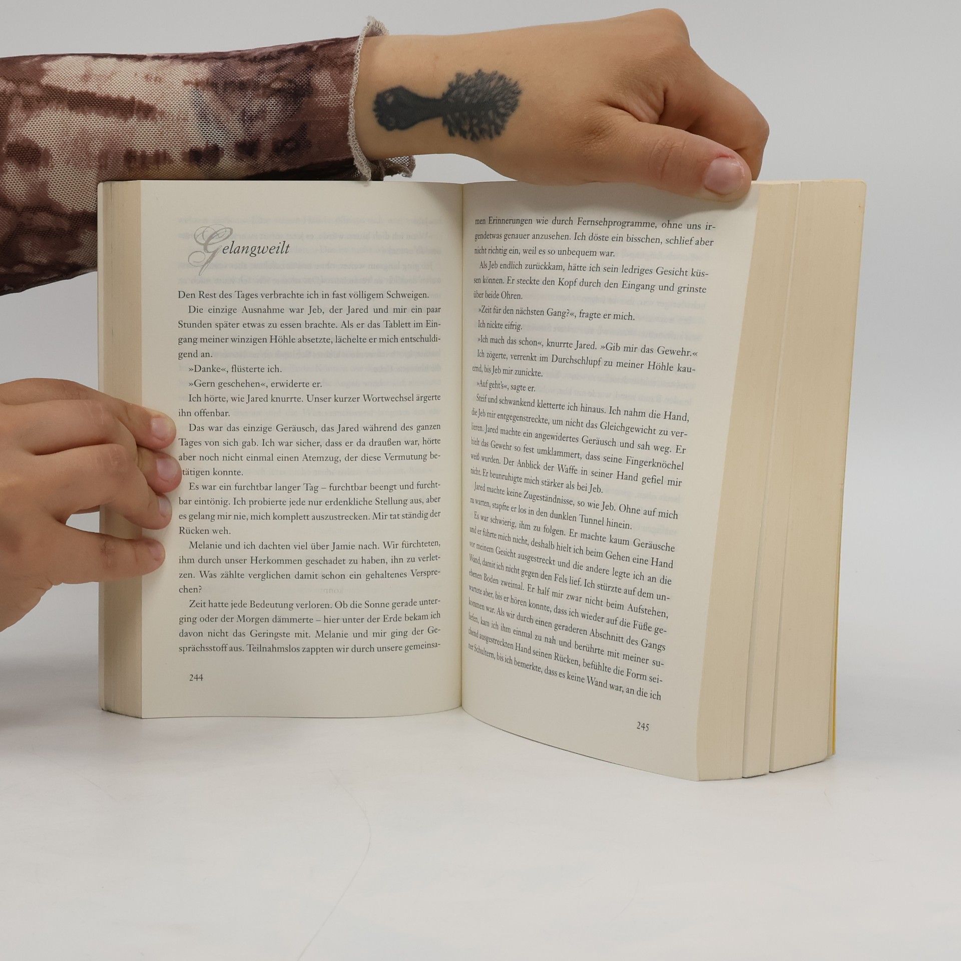 Stephenie Meyer Seelen